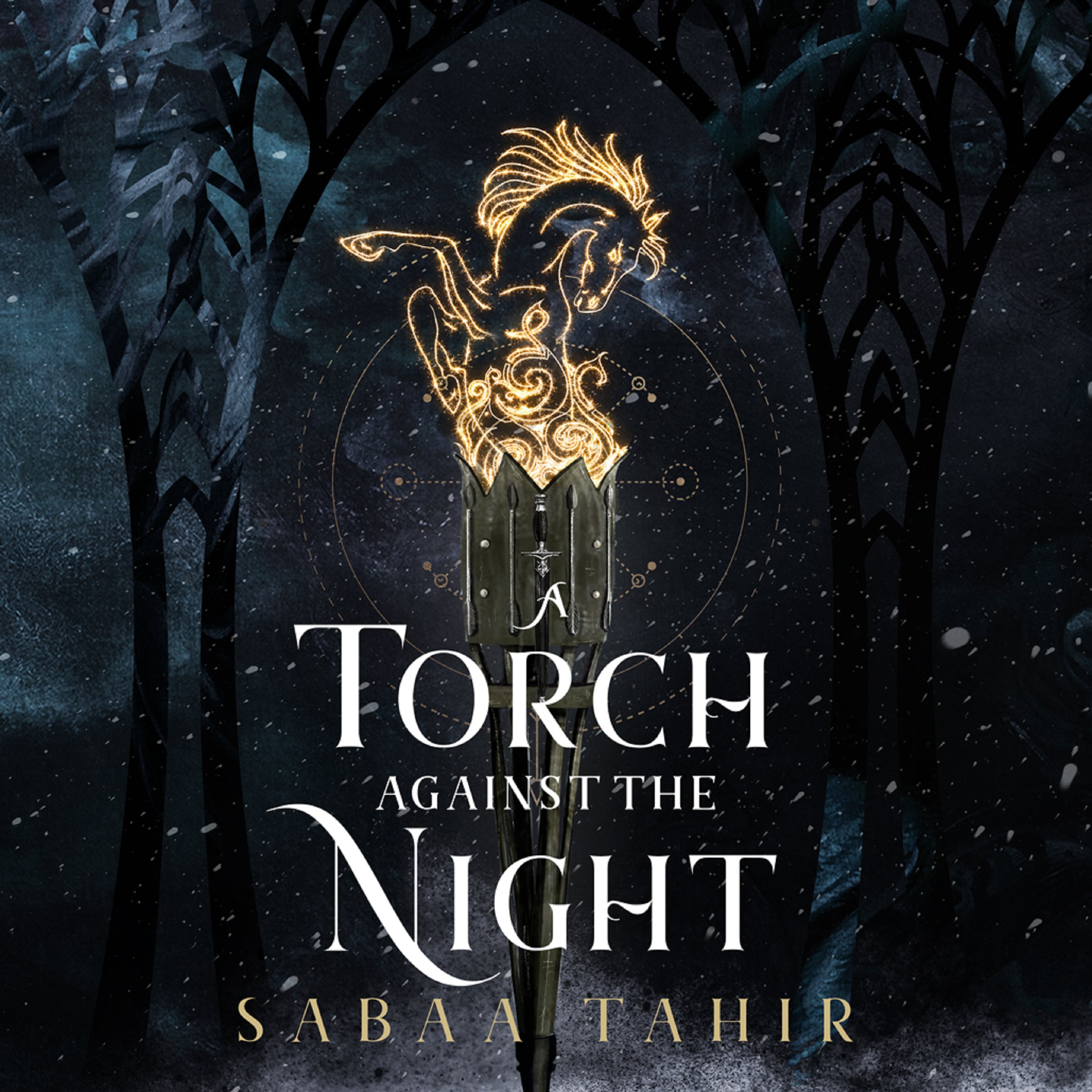 Cover art for A Torch Against the Night