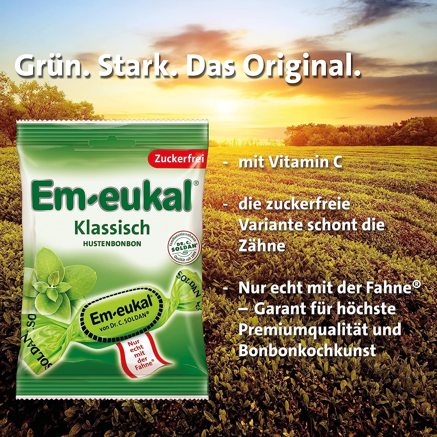 Em-eukal Hustenbonbon Klassisch, Zuckerfrei & laktosefrei, Lutschbonbons mit Eukalyptusöl & Menthol, Ohne Zucker – Großpackung 20x75g