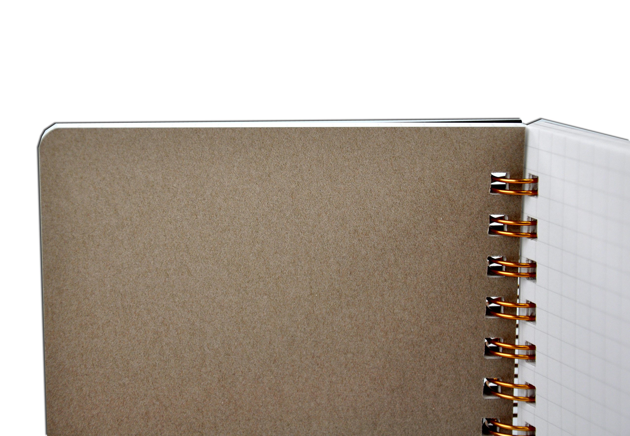 Amazon.co.jp: ライフ ポケットノート 5mm方眼 A6 緑 N196B : 文房具