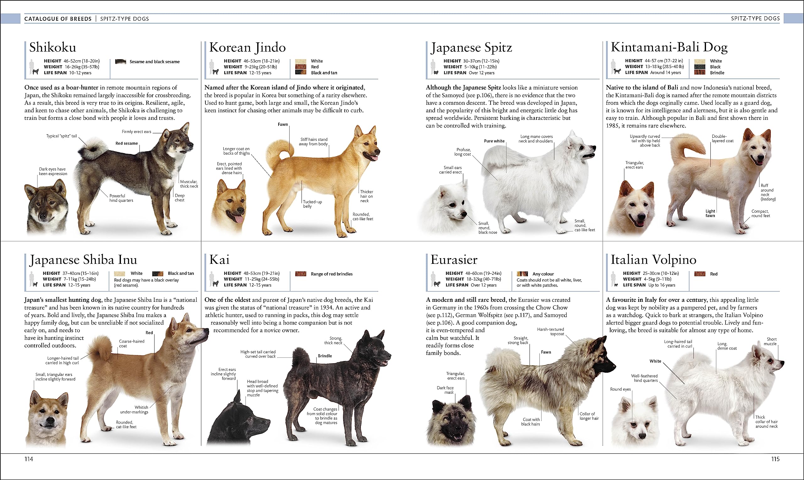The Dog Encyclopedia: The Definitive Visual Guide