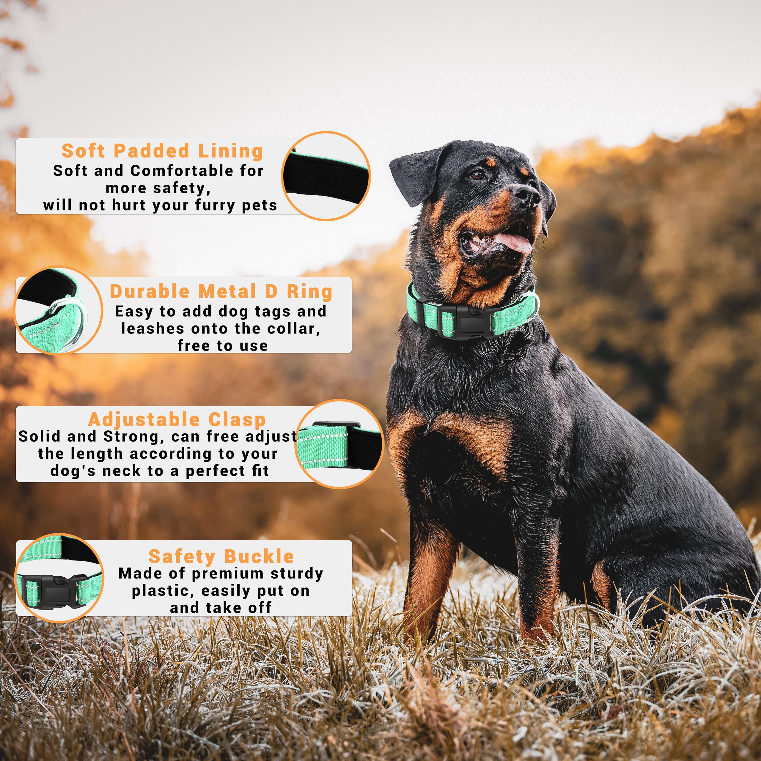 Paquete de 2 collares reflectantes para perro con hebilla de bloqueo de seguridad, ajustable, suave, transpirable, cómodo, de nailon, para perros pequeños, medianos y grandes, 5 tamaños