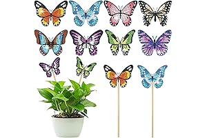 Vcekract Diamond Painting Kits with Stunning Butterfly Designs