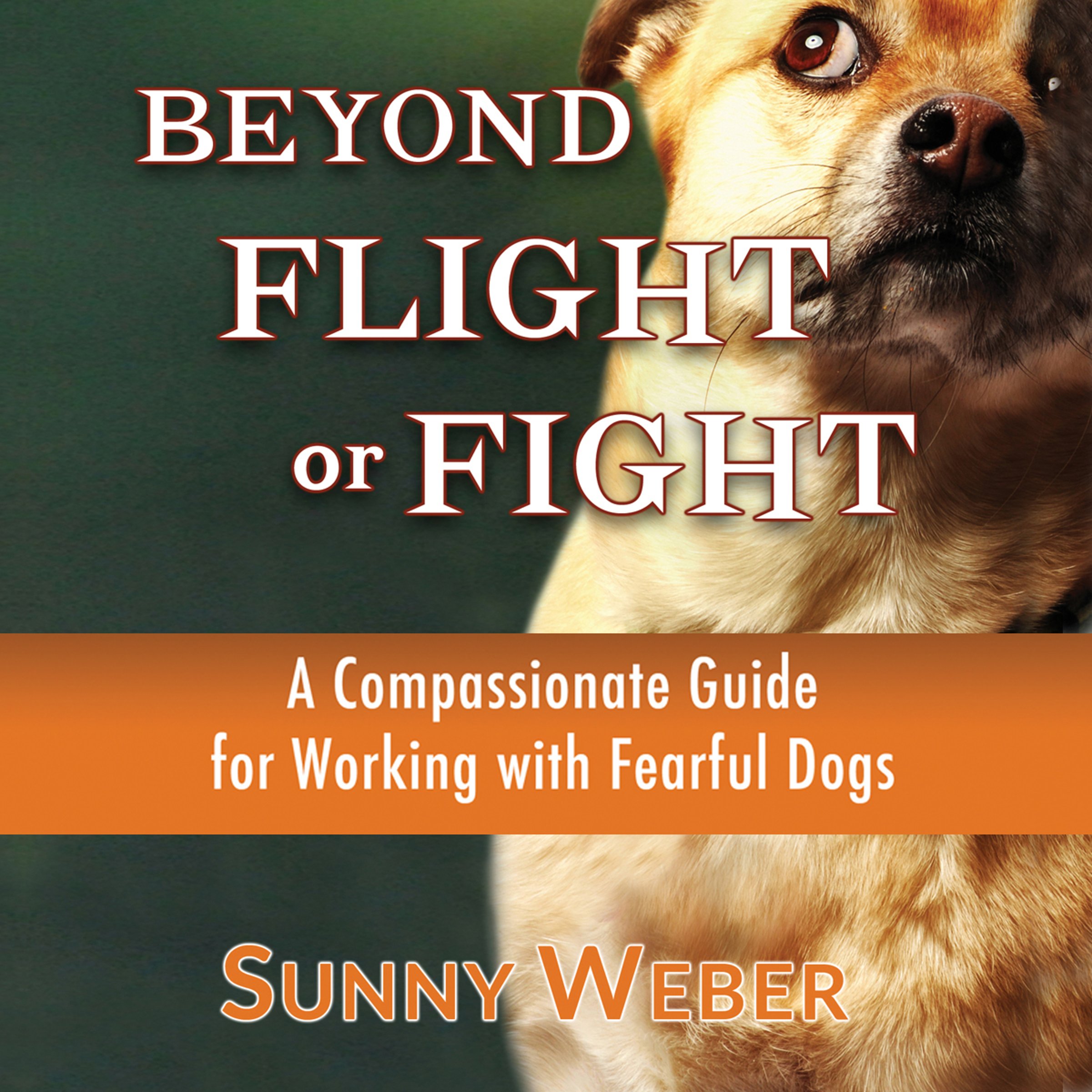 Cover art for Beyond Flight or Fight