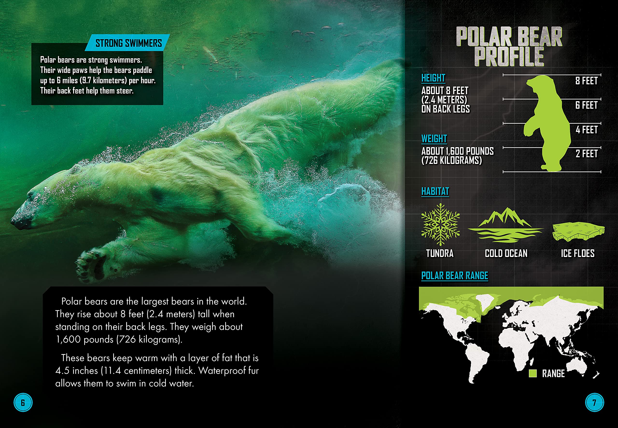 Polar Bear vs. Walrus