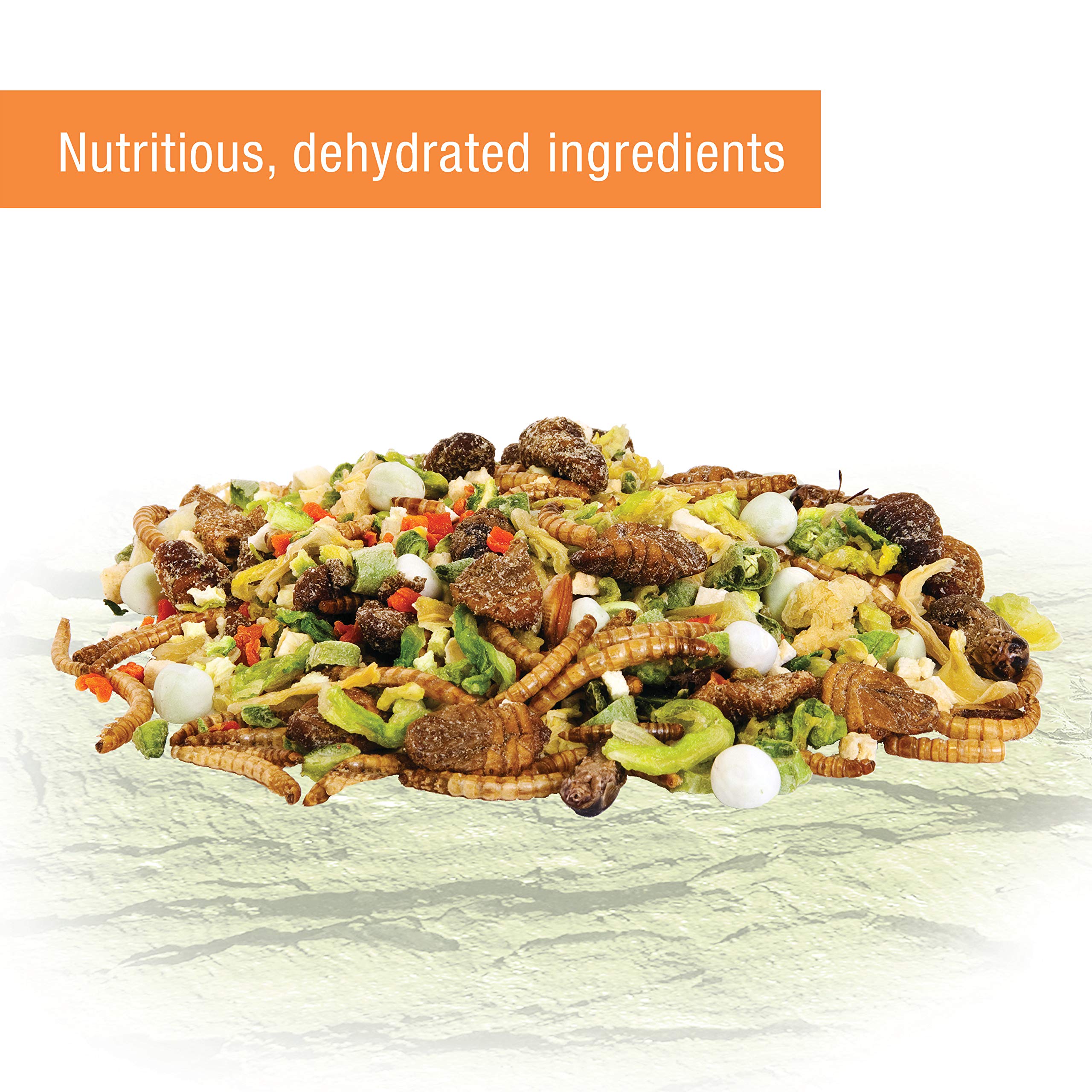 Buy Zilla Reptile Food Munchies River Shrimp for Turtles, Salamanders