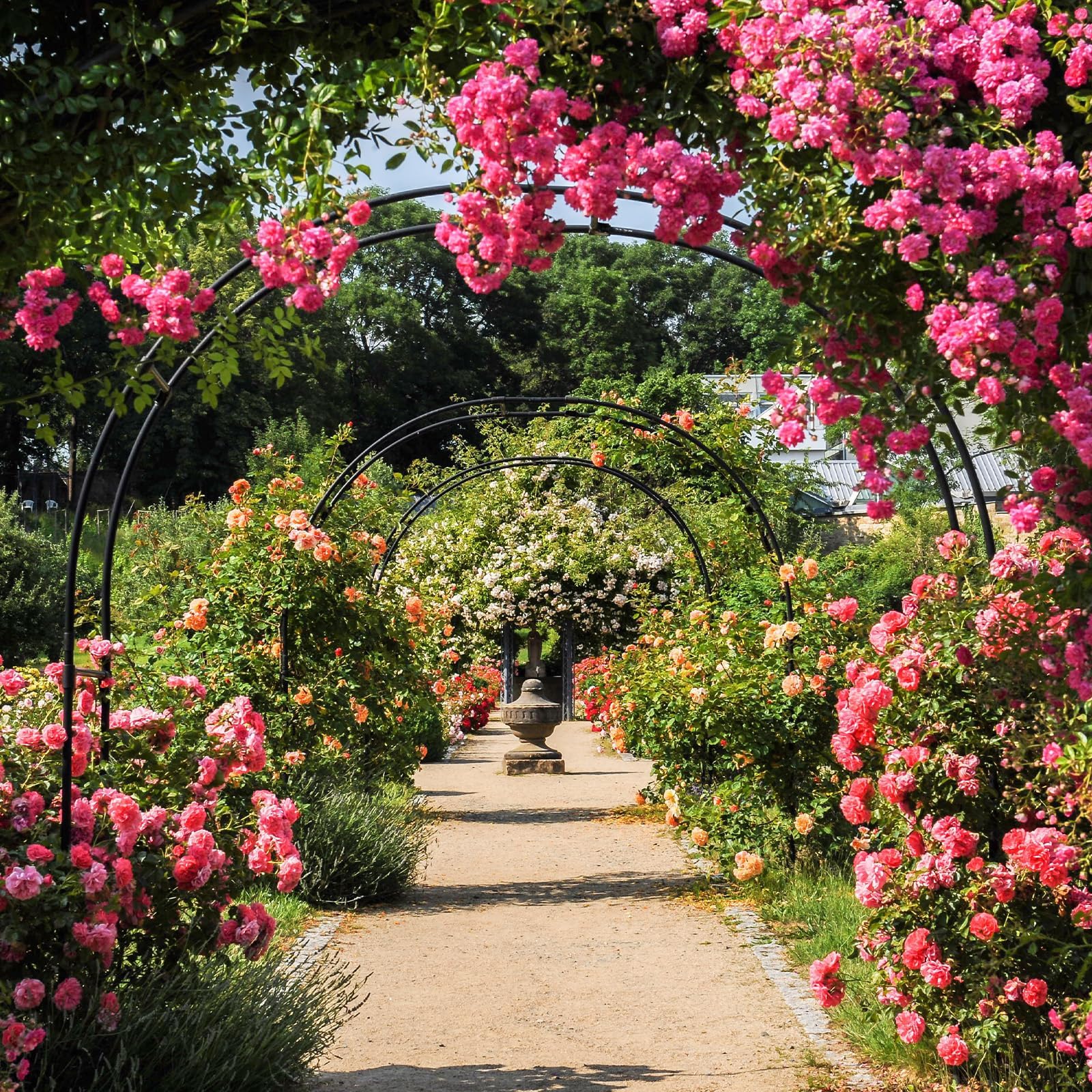 Arco da matrimonio in metallo per rose rampicanti, traliccio da giardino in acciaio, altezza 230 cm, 2,8 x 2,4 m / 9.2x7.9ft, decorazione per cerimonie all'aperto, arco floreale durevole per eventi