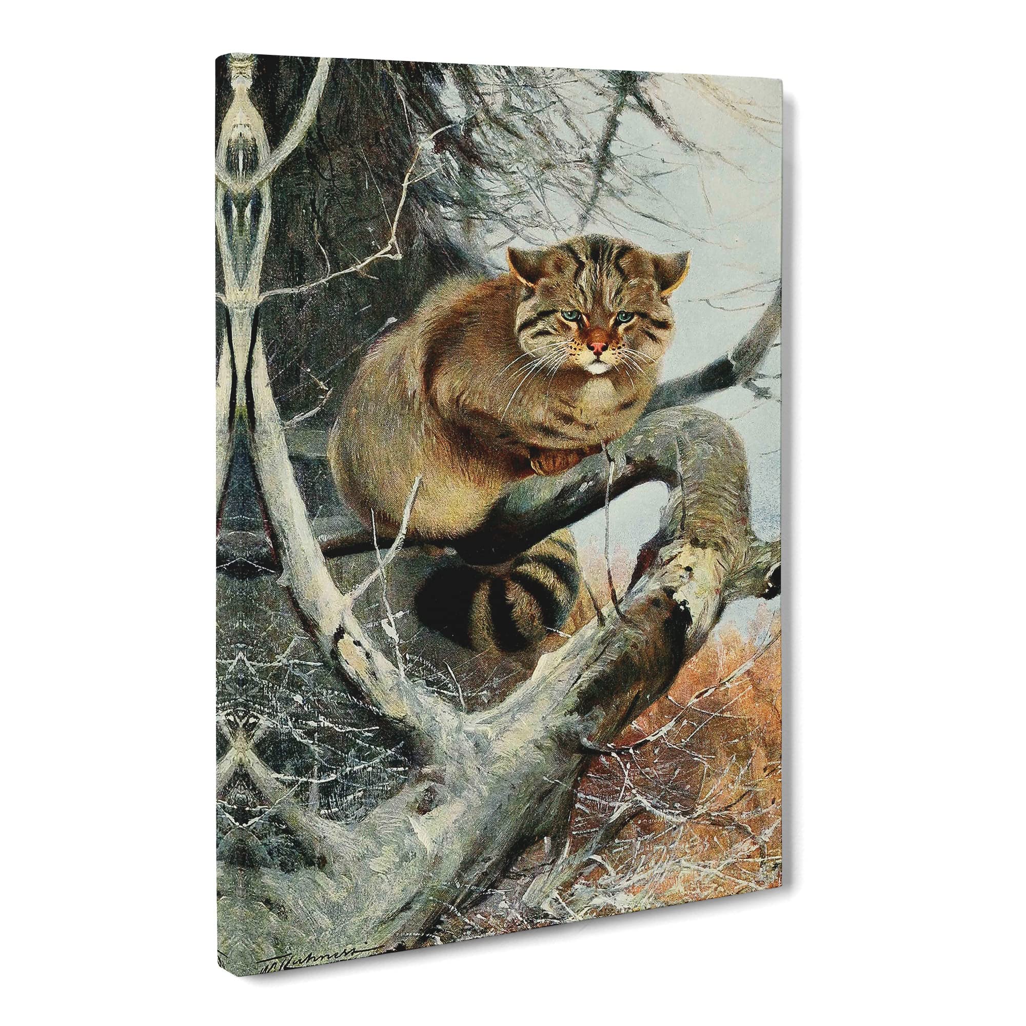 W Kuhnert Wild Cat Canvas Print, Mixed, 25L x 50W cm