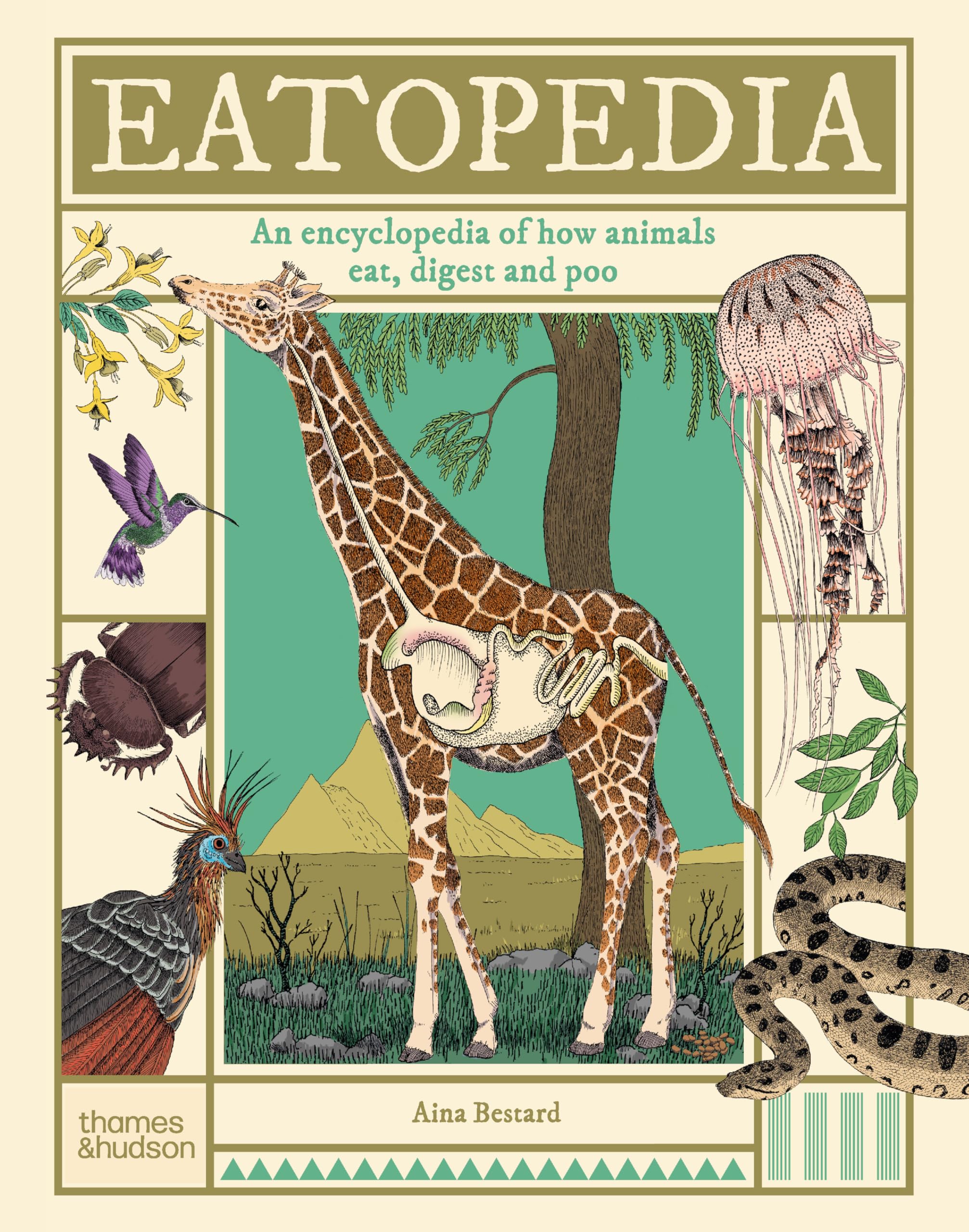 Eatopedia: An encyclopedia of how animals eat, digest and poo