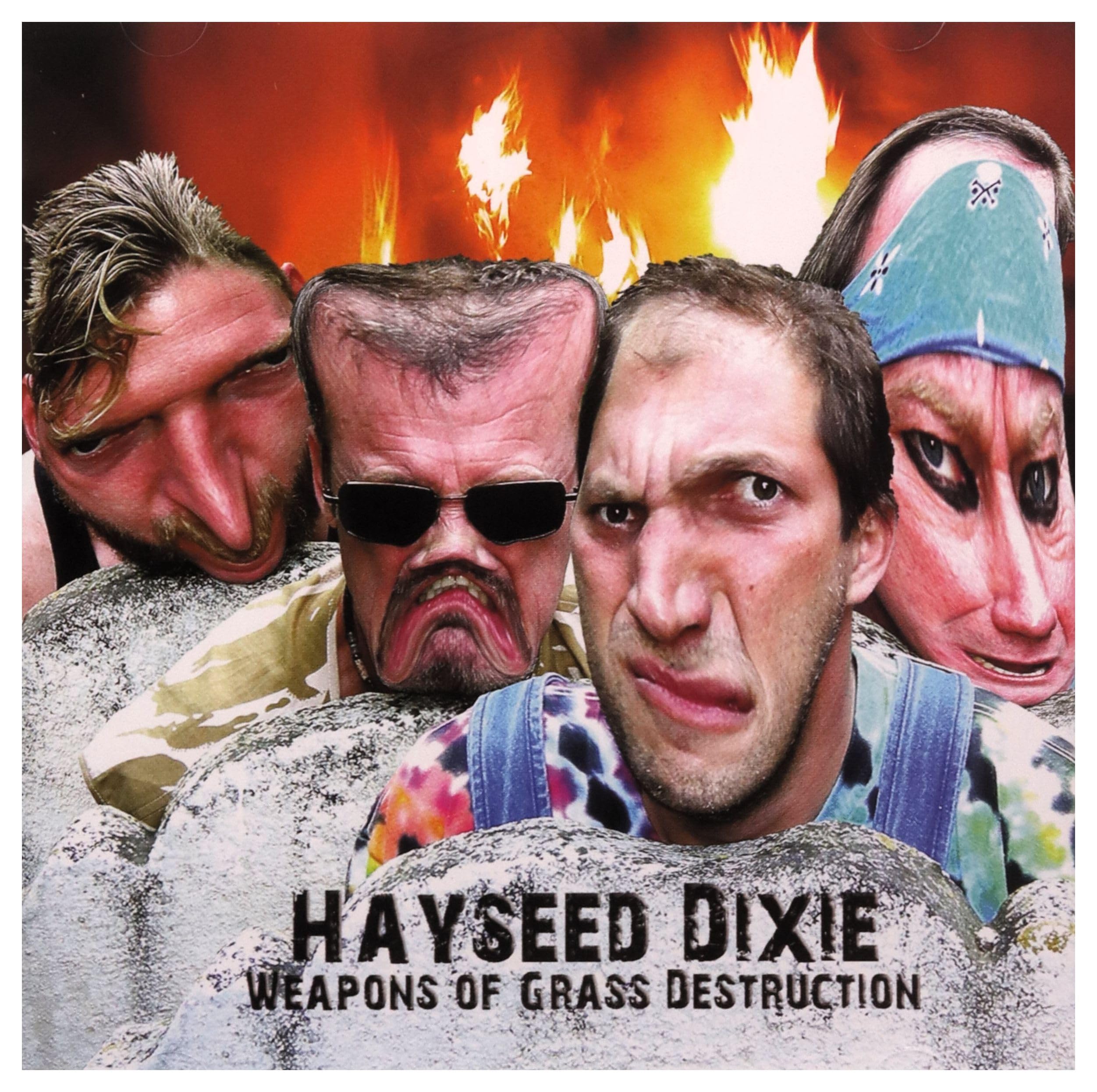 Weapons of Grass Destruction [Audio CD] Hayseed Dixie