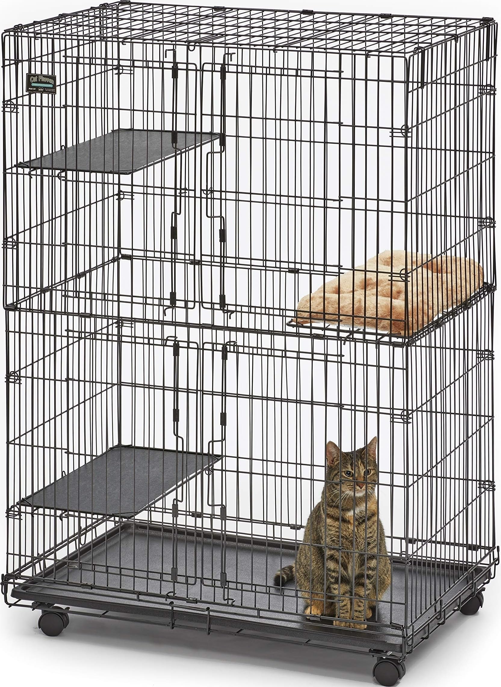 MidWest Homes for Pets - Parque de juegos plegable de metal para gatos en interiores. Incluye jaula con ruedas bloqueables, 3 plataformas, bandeja extraíble y cama de felpa. Ideal para 1 a 3 gatos
