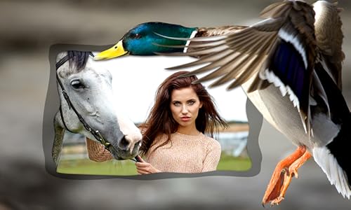 Animal Photo Frames
