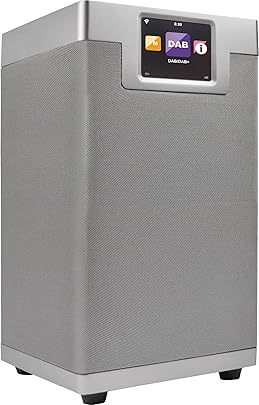 Imperial Dabman i600 Internet DAB Radio 2 1 Sound Bluetooth Internet DAB DAB FM WLAN LAN USB Aux In Line-Out uscita cuffie incl Alimentatore argento Imperial Dabman i600 Internet DAB Radio 2 1 Sound Bluetooth Internet DAB DAB FM WLAN LAN USB Aux In Line-Out uscita cuffie incl Alimentatore argento