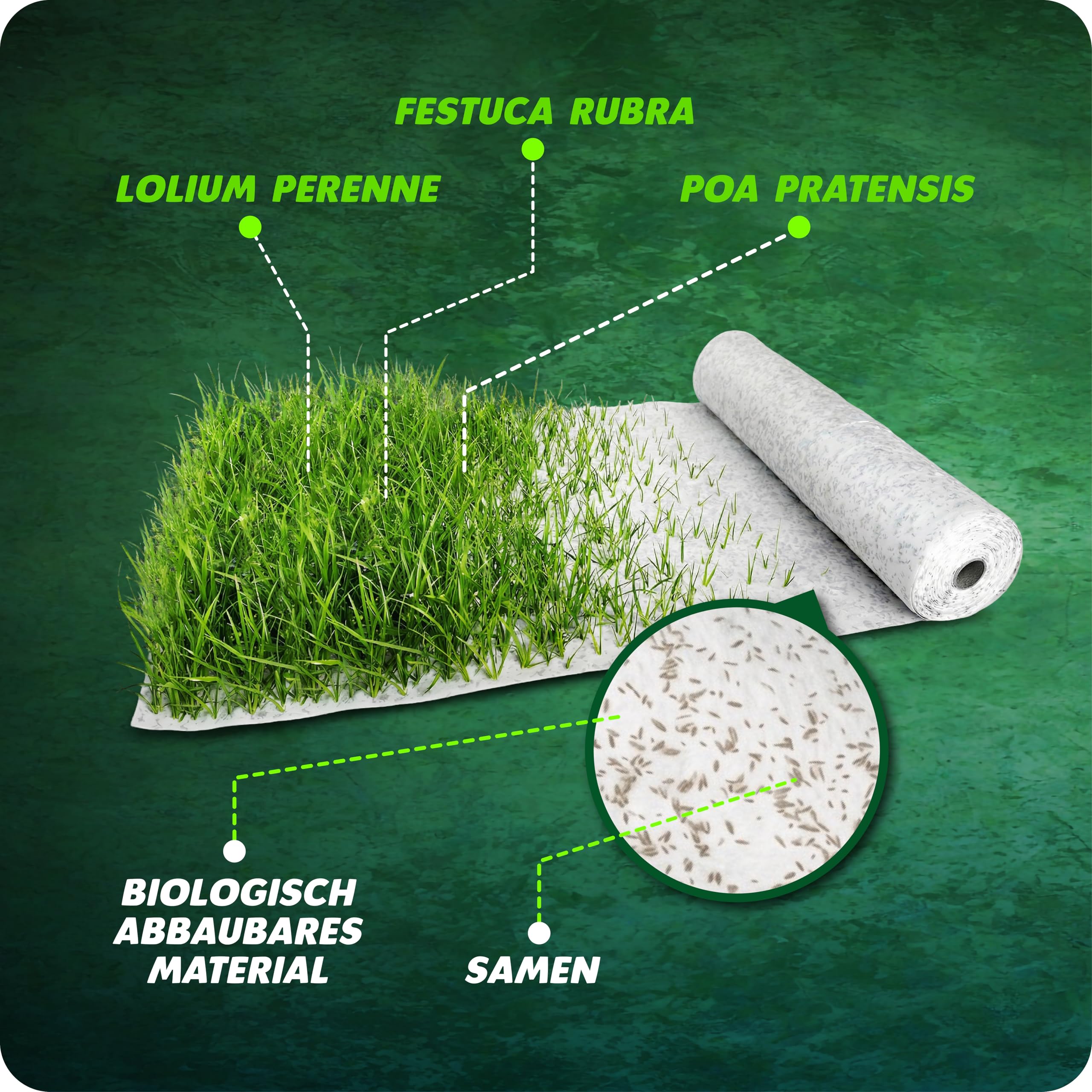 Matte mit integrierten Rasensamen - Gras auf der Rolle für eine einfache Aussaat - biologisch abbaubare Rasenvlies-Grassamen schnellkeimend- Rasenrolle (10m²) - Rasenmatte