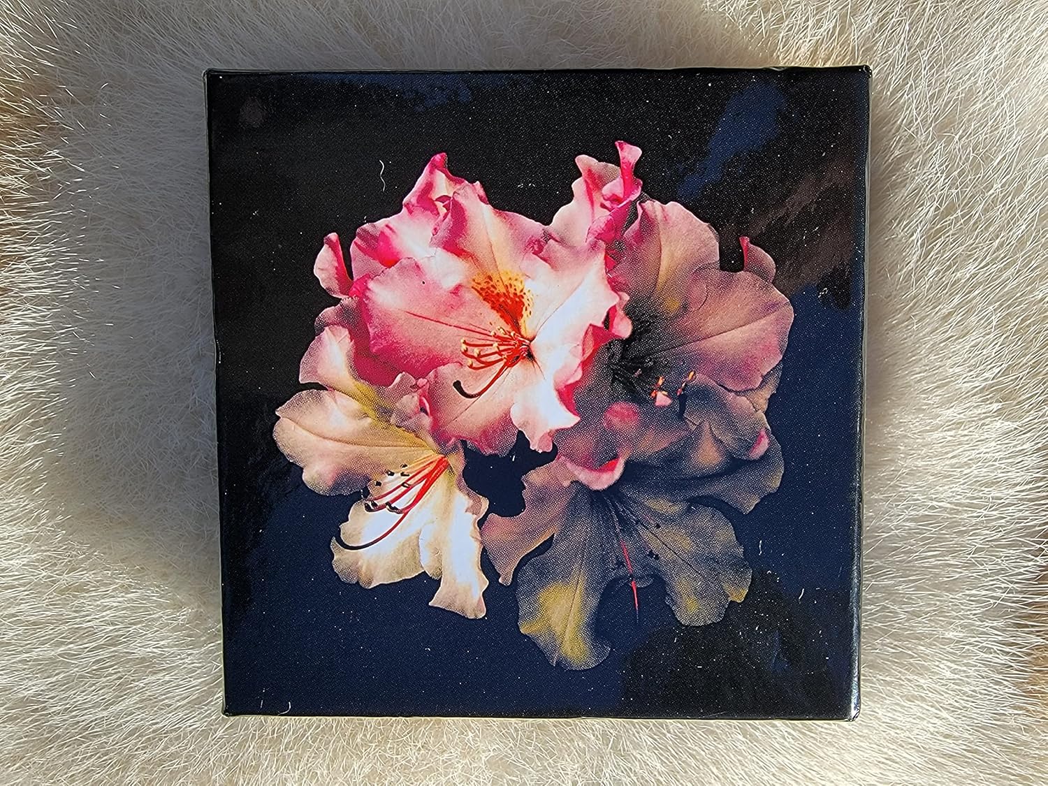 Affirmations Card Deck by Angelique (Giftwrapped Green)