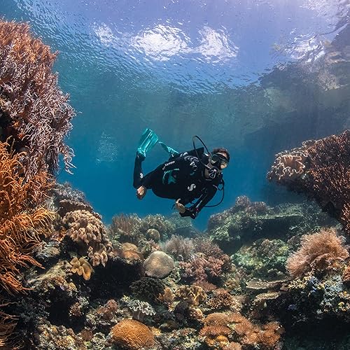 Vista 3 de SCUBAPRO Seawing Nova Aletas de Buceo Turquesa