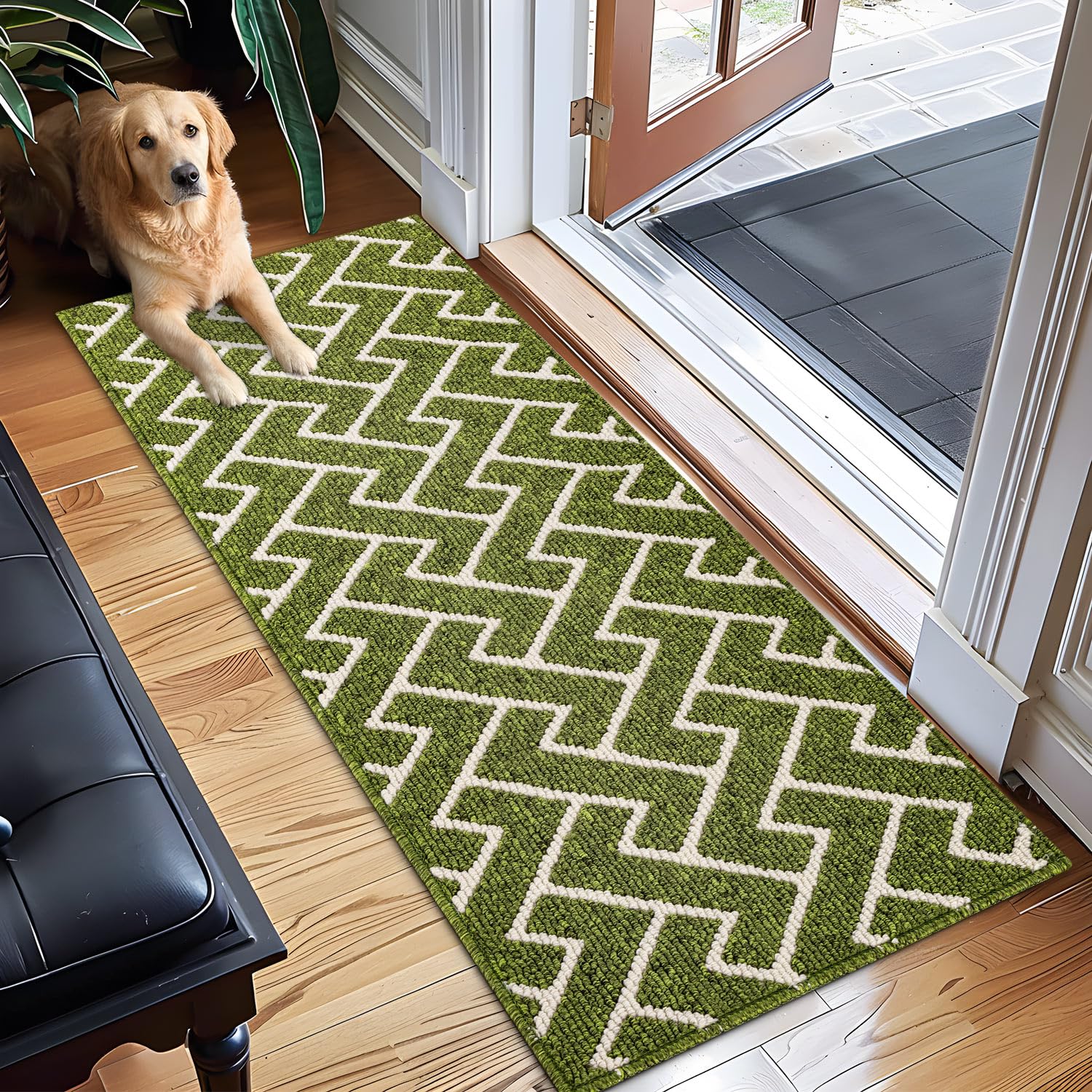 Biscpro Indoor Doormat,50x150cm Welcome Door mat,Non Slip Backing Washable Door Mats,Absorbent and Resistant Low-Profile Entrance Inside Floor Mat for Front Back Door and Entryway(Sage Green)