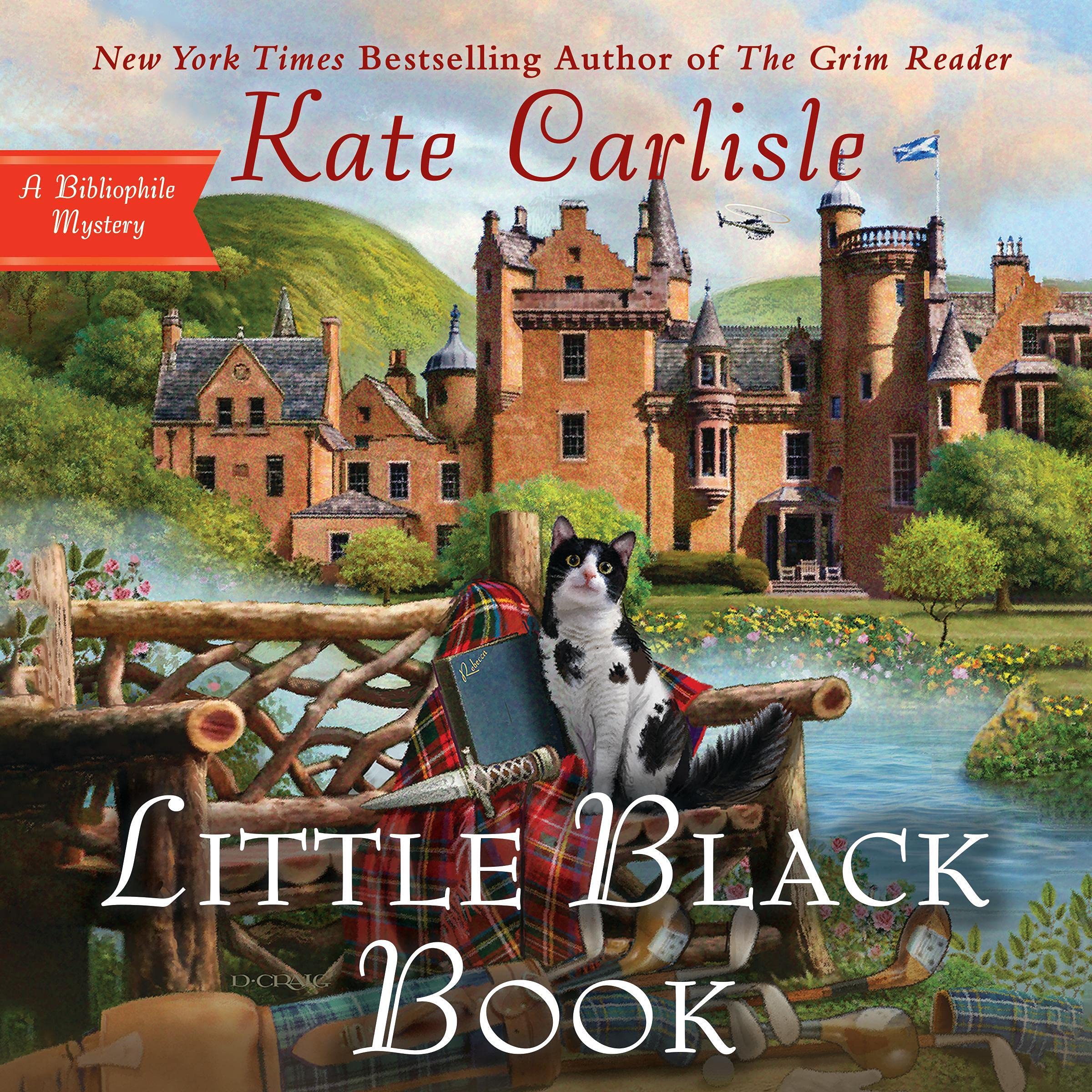 Cover art for Little Black Book