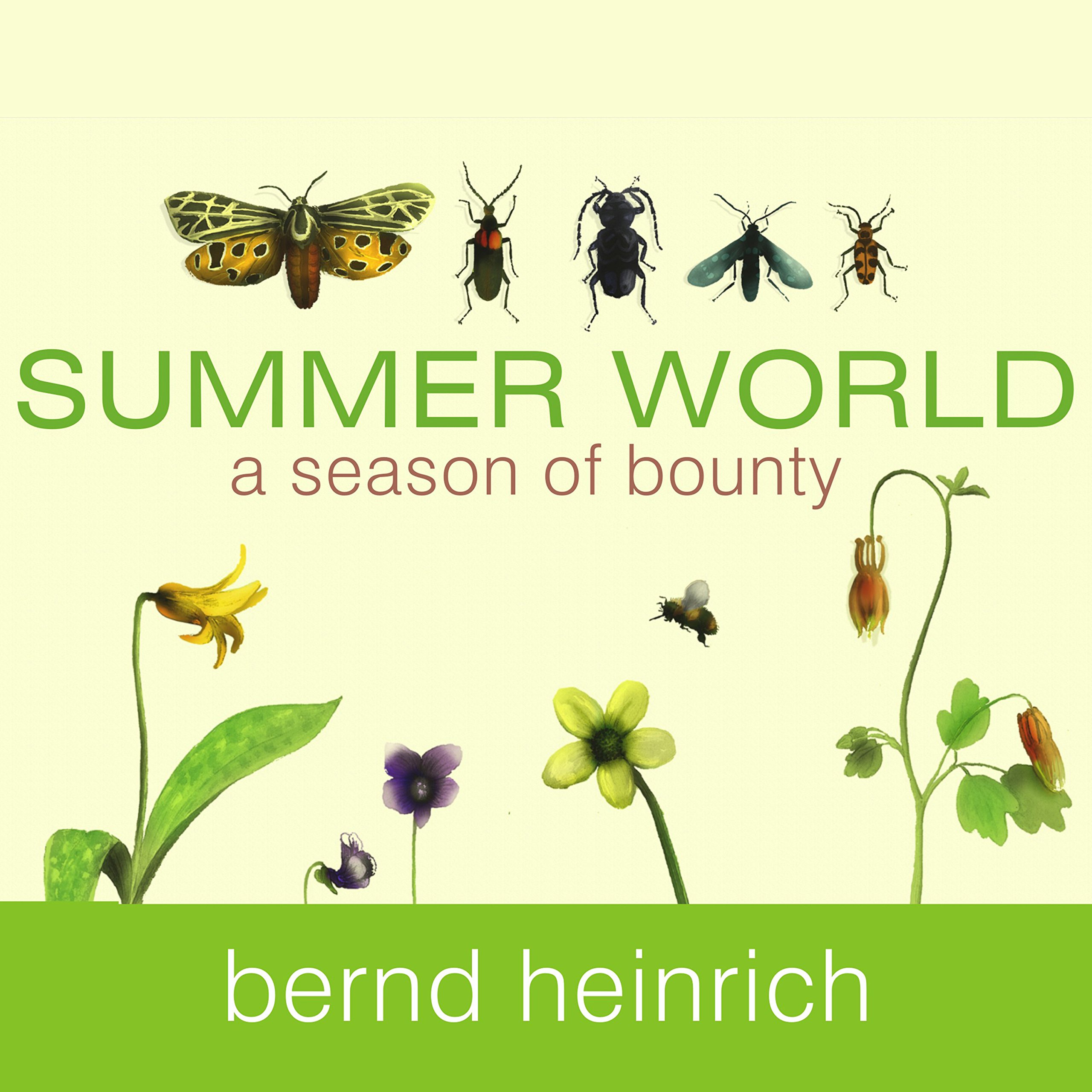 Cover art for Summer World