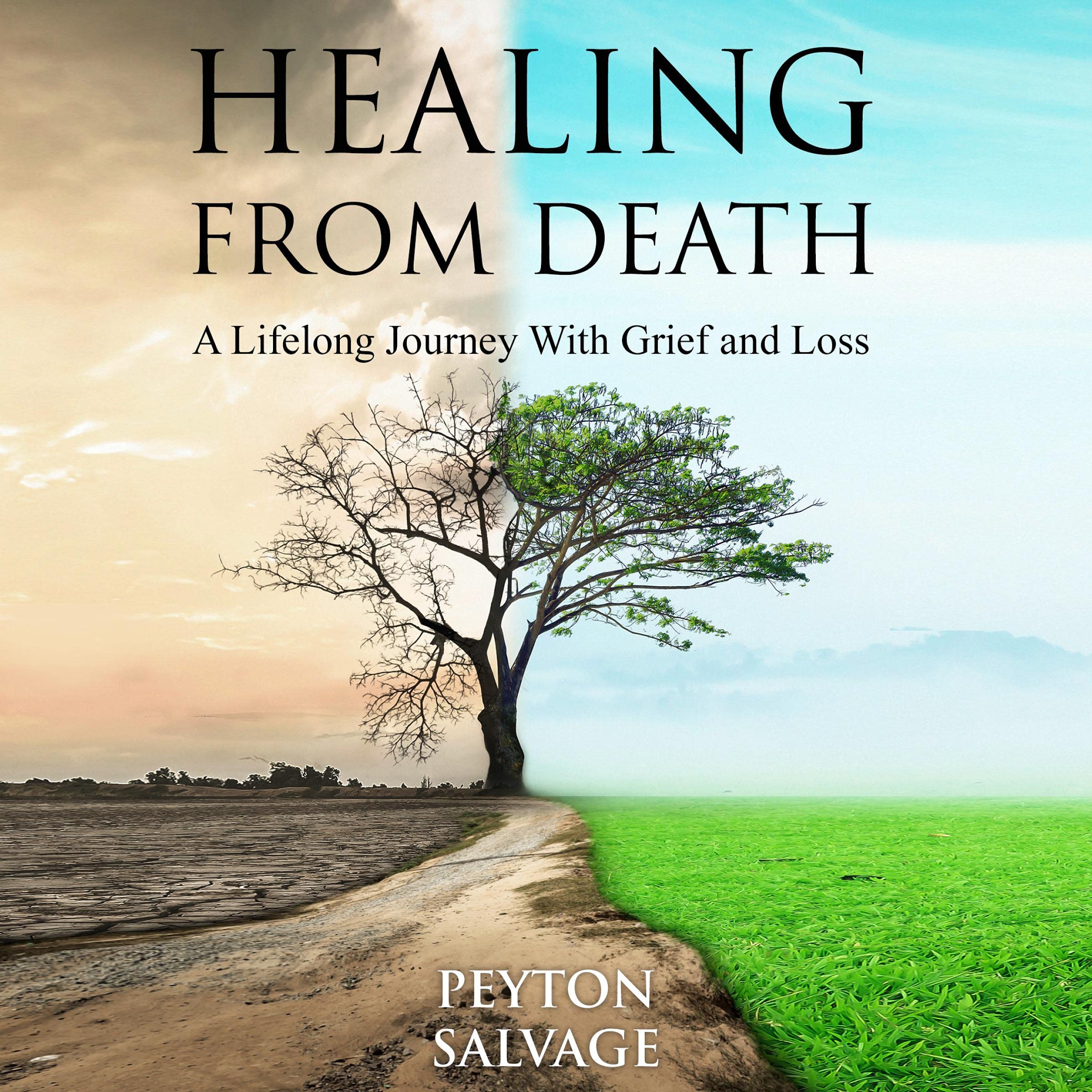 Cover art for Healing from Death