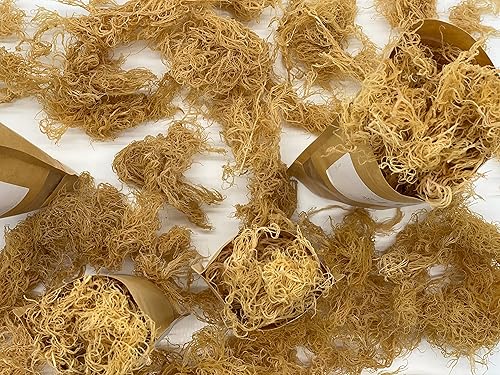 Miniatura 3 de Musgo marino irlandés  6 onzas de musgo marino orgánico  Ideal para hacer más de 60 onzas de gel de musgo marino  Musgo marino dorado secado al sol
