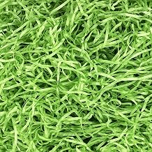 Asekonc 1/2 LB Easter Green Grass Green Raffia Grass Super Large Pack Recyclable Paper Shred for Easter Basket Filler Creative Eggs Decor Filler Gift Wrapping