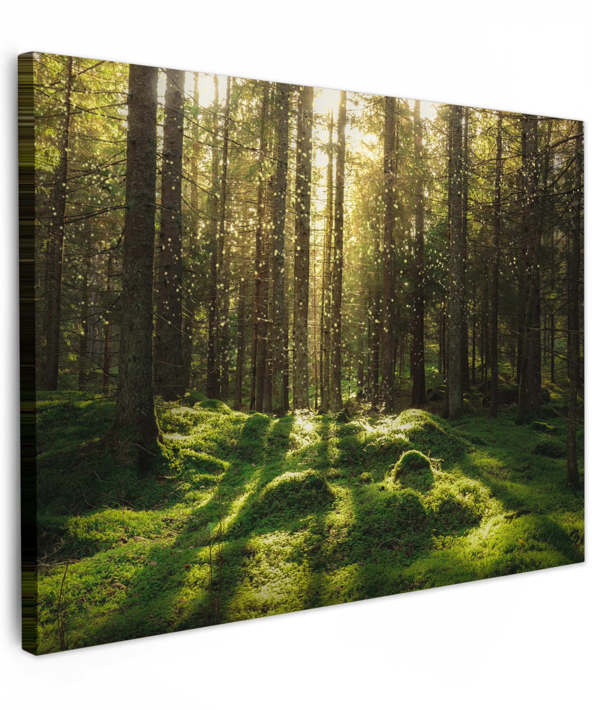 MuchoWow© Wandbilder 40x30 cm Schlafzimmer Home Deko Wohnung Bild Wohnzimmer Fotoleinwand Wand Bilder Leinwand Wall Decor Bäume - Wandbild Wald - Moos - Pflanzen - Sonne - Natur