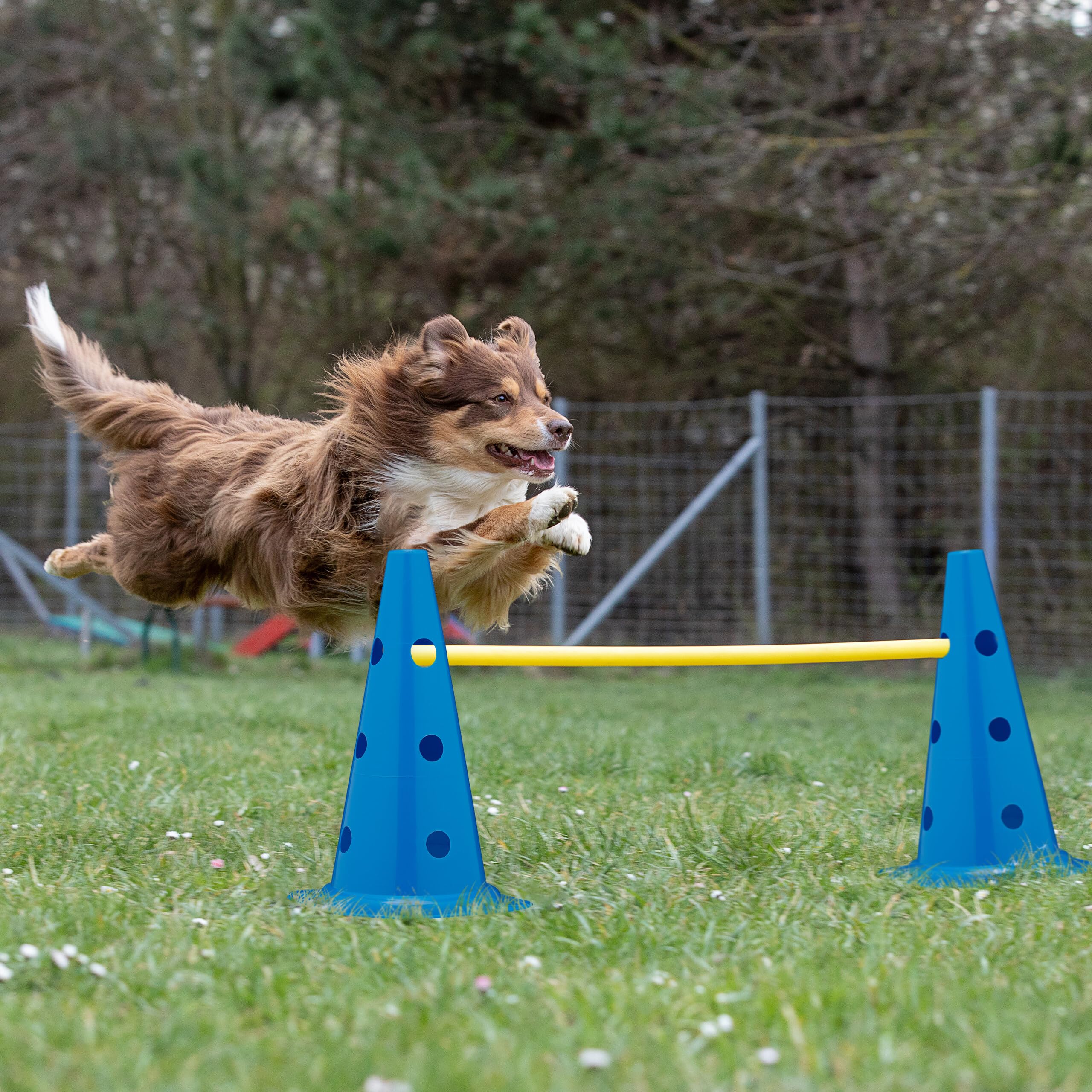 Relaxdays Set de 12 cônes et 6 Barres, 18 pièces pour l’Agility ou Le Football, Obstacles Chien, Bleu et Jaune