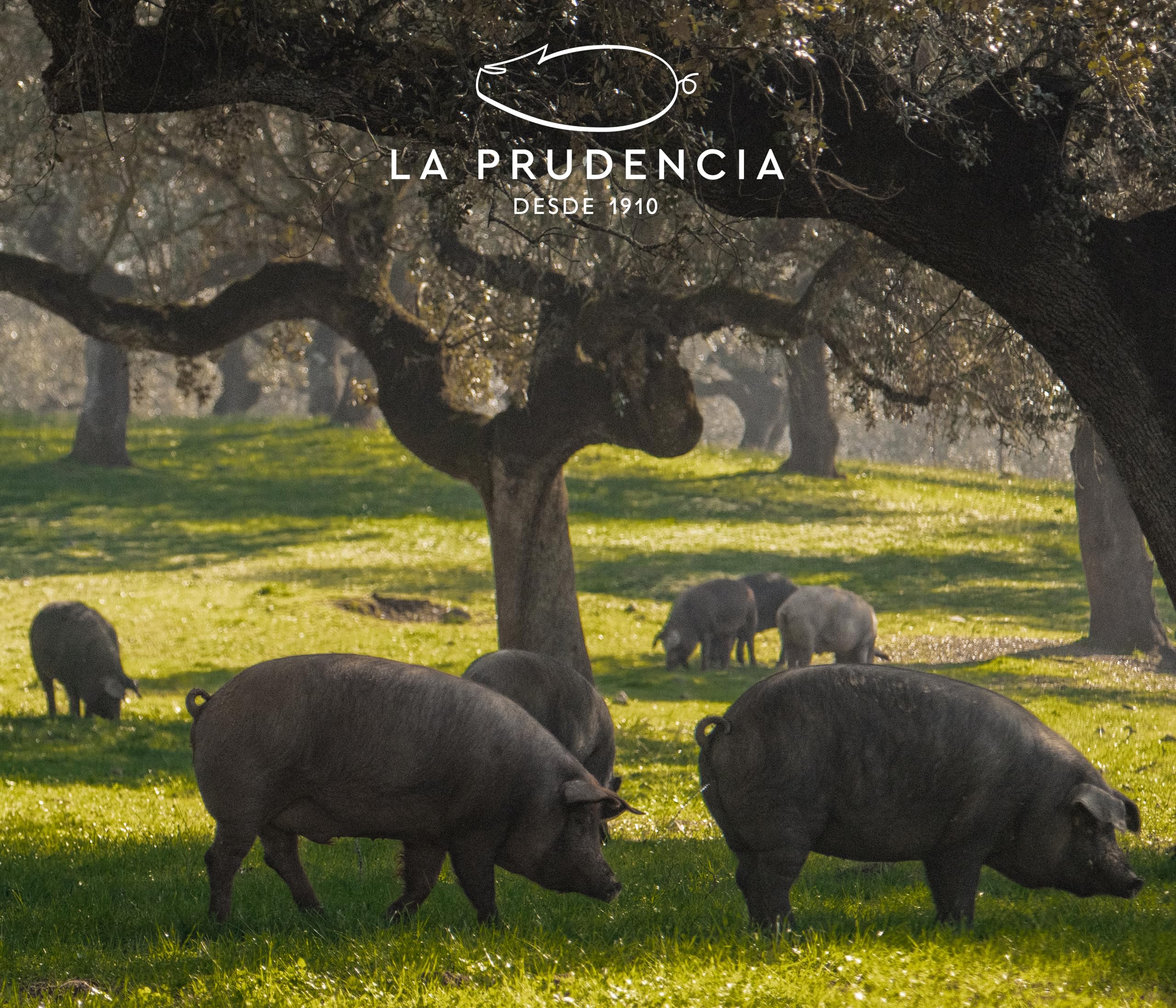 La Prudencia - Lonza Iberica Di Ghianda - Stagionatura Artigianale (1-1,5 Kg)