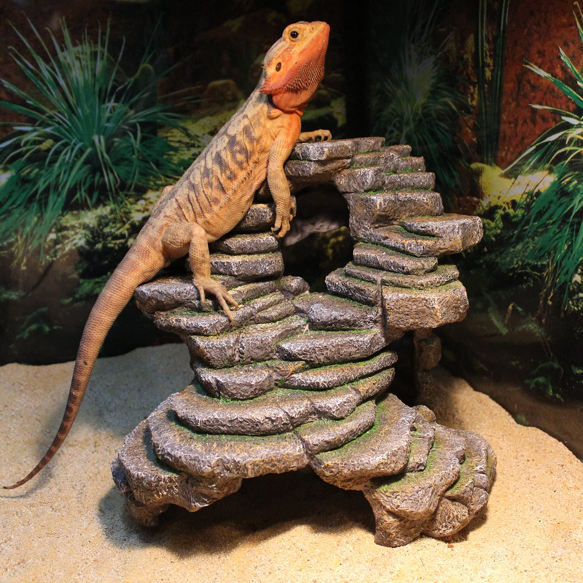 Penn-Plax Reptology Shale Step Ledge para acuarios y terrarios, agrega Puntos Ocultos, Nadando a través, repisas para Peces, Reptiles, Anfibios y Animales pequeños (Extra Grande)