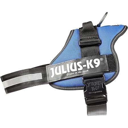 julius k9 blue