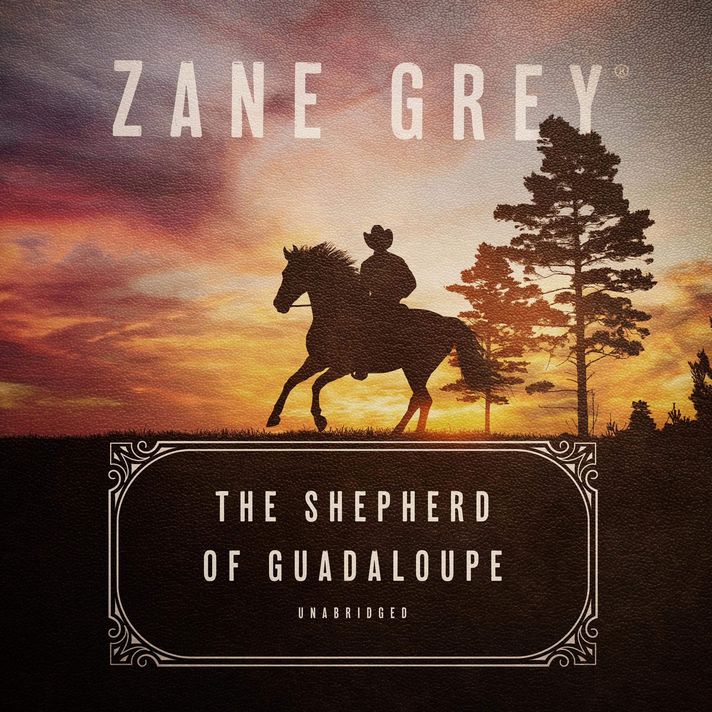 Cover art for The Shepherd of Guadaloupe