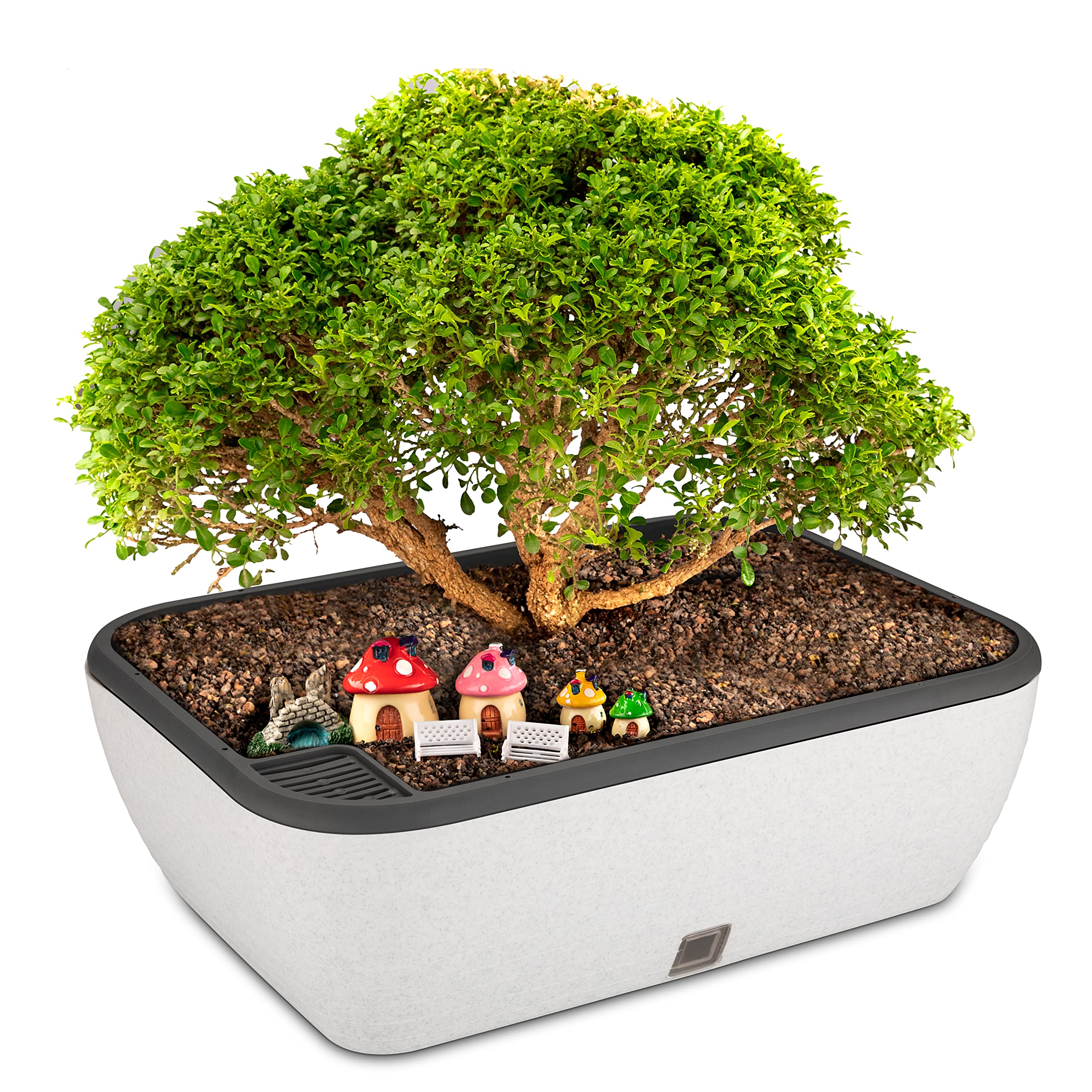 HINS Plastic Contessa Flower Pot for Self Watering White for Indoor Flower Pot for Home & Garden (White) (B09JWDMY6F) Amazon Price History, Amazon Price Tracker