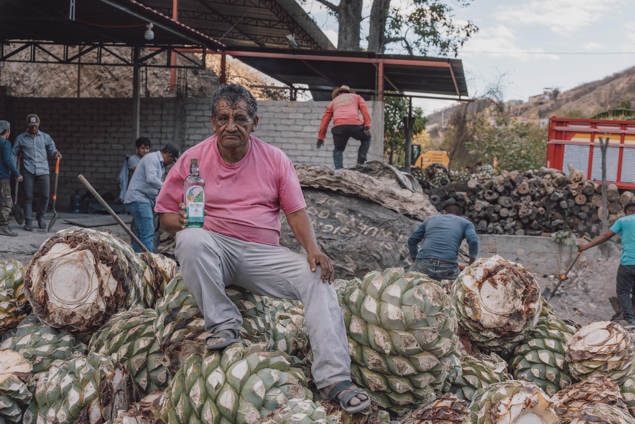 Del Suelo | Liso | Mezcal Artesanal | Tropical Fruit, Juicy/Lush, Floral, Berries, Tropical Fruit | 70cl | 45%