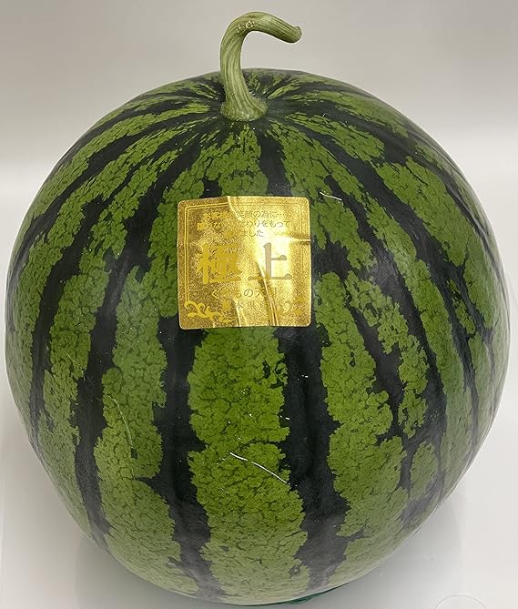 すいか様専用 - 通販 - eltrendemisol.edu.mx