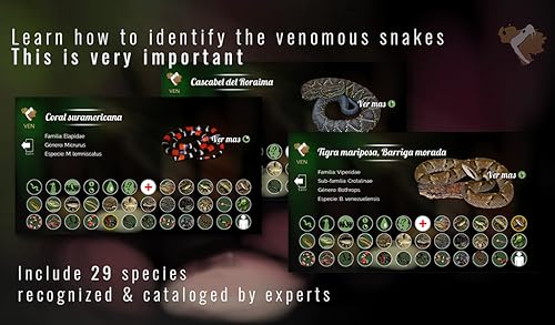 Siva 2D presents Venomous Snakes Venezuela