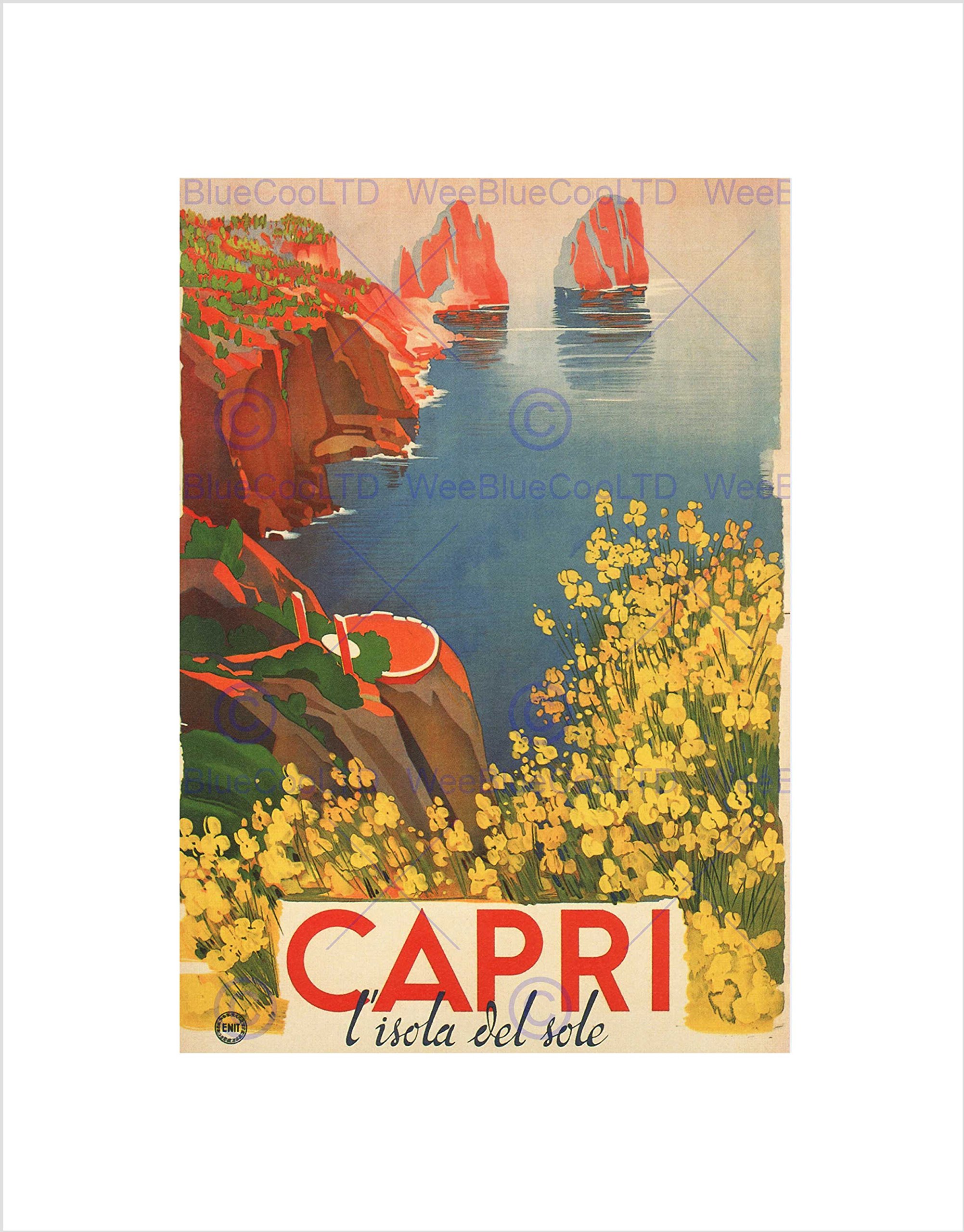 Wee Blue Coo Travel Tourism Capri Sun Island Flowers Sea Italy Wall Art Print