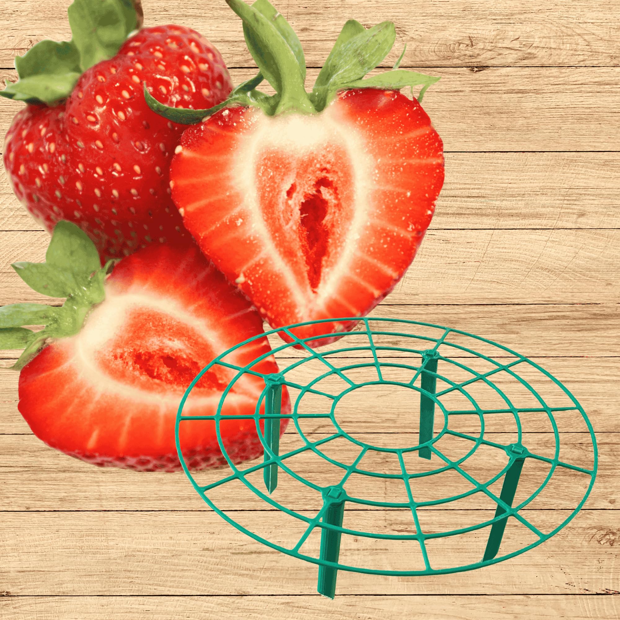 Amazon.com : 5 Everbearing Strawberry Plants Plus 5 Strawberry  display picture 1