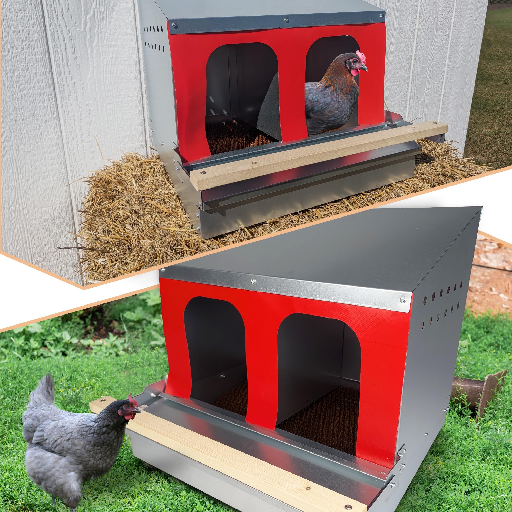 Hen's Choice™ - Caja nido enrollable reversible para pollos | Caja nido enrollable | 2 compartimentos de 21 pulgadas | Galvanizado resistente