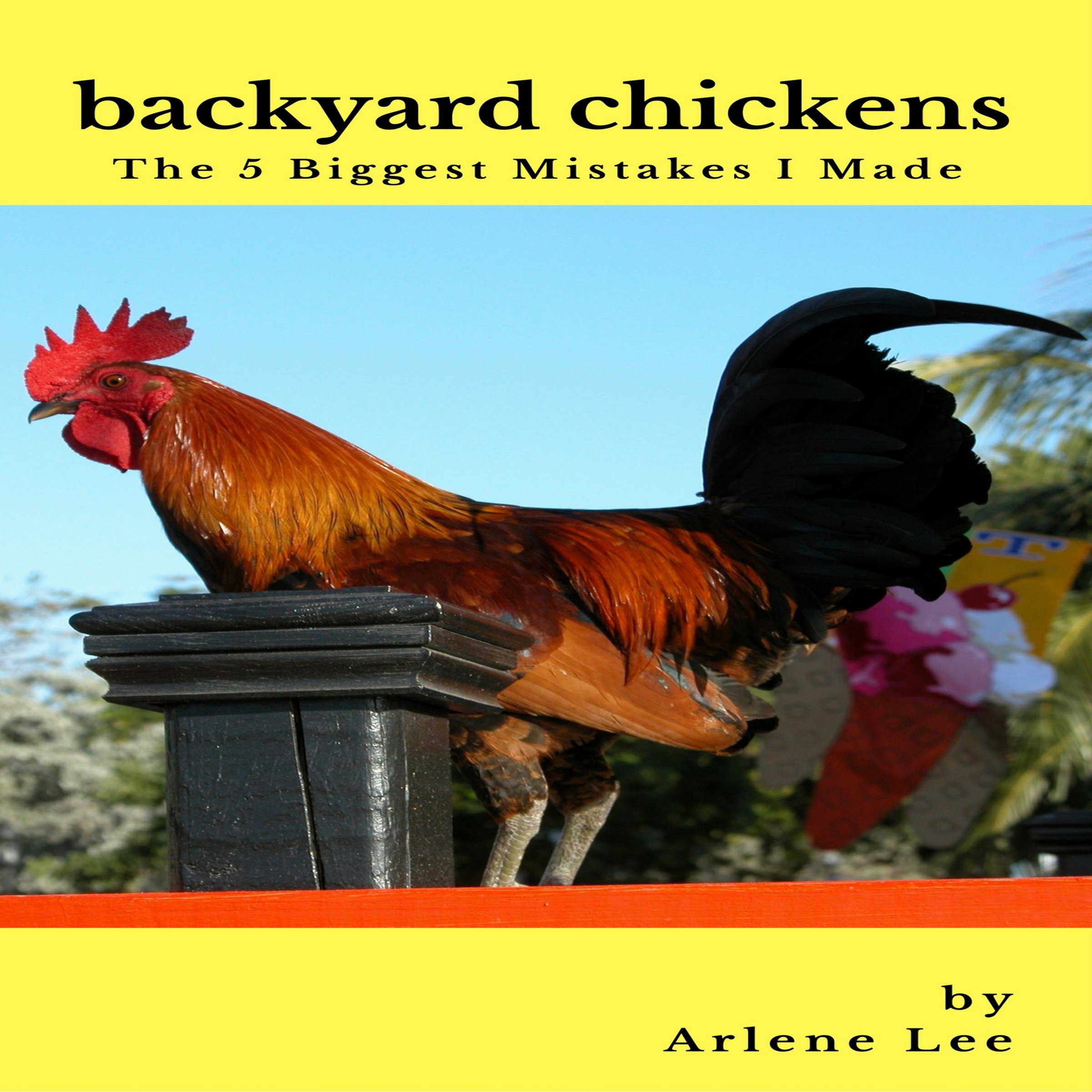 Backyard Chickens