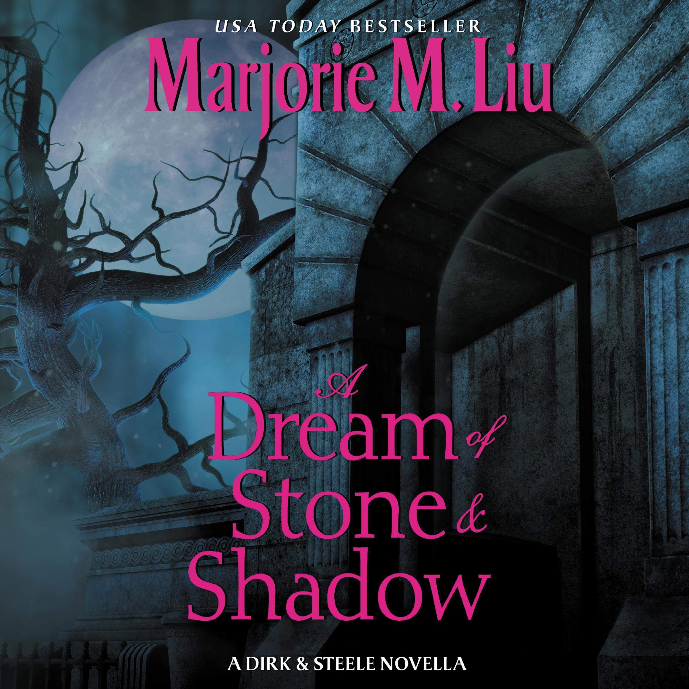 Cover art for A Dream of Stone & Shadow