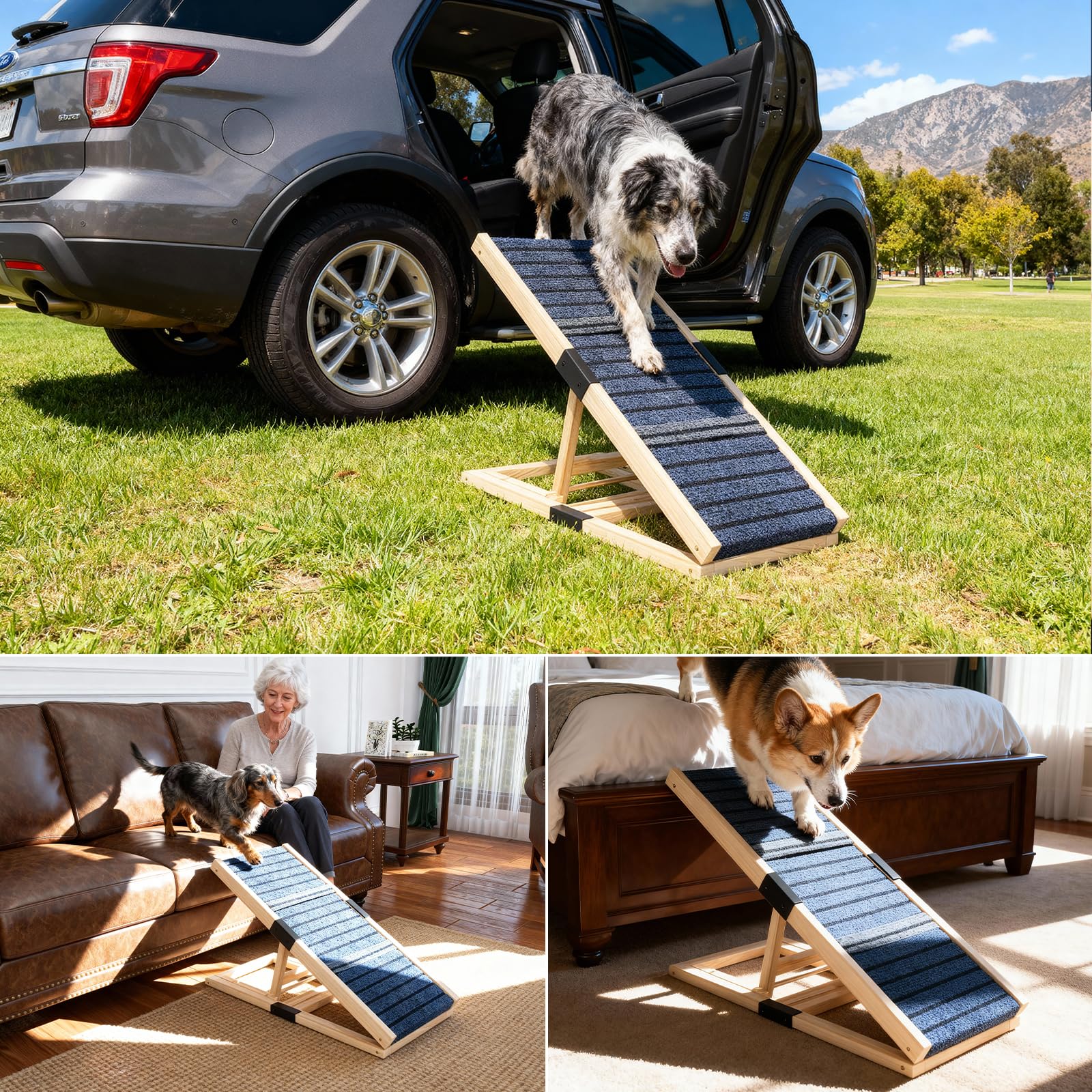 Hunderampe aus Holz – höhenverstellbar und klappbar für kleine und mittelgroße Hunde, rutschfest für Bett, Sofa und Auto, leicht und tragbar für Innen und Außen