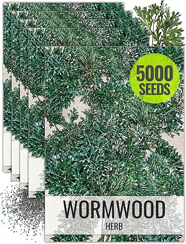 Miniatura 8 de Seed Needs Semillas de hierbas de ajenjo para plantar Artemisia Absinthium Paquete doble de 500 semillas cada una reliquia sin OMG y sin tratar