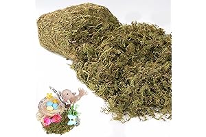 Splendid Faux Moss for Enlivening Plant Delights