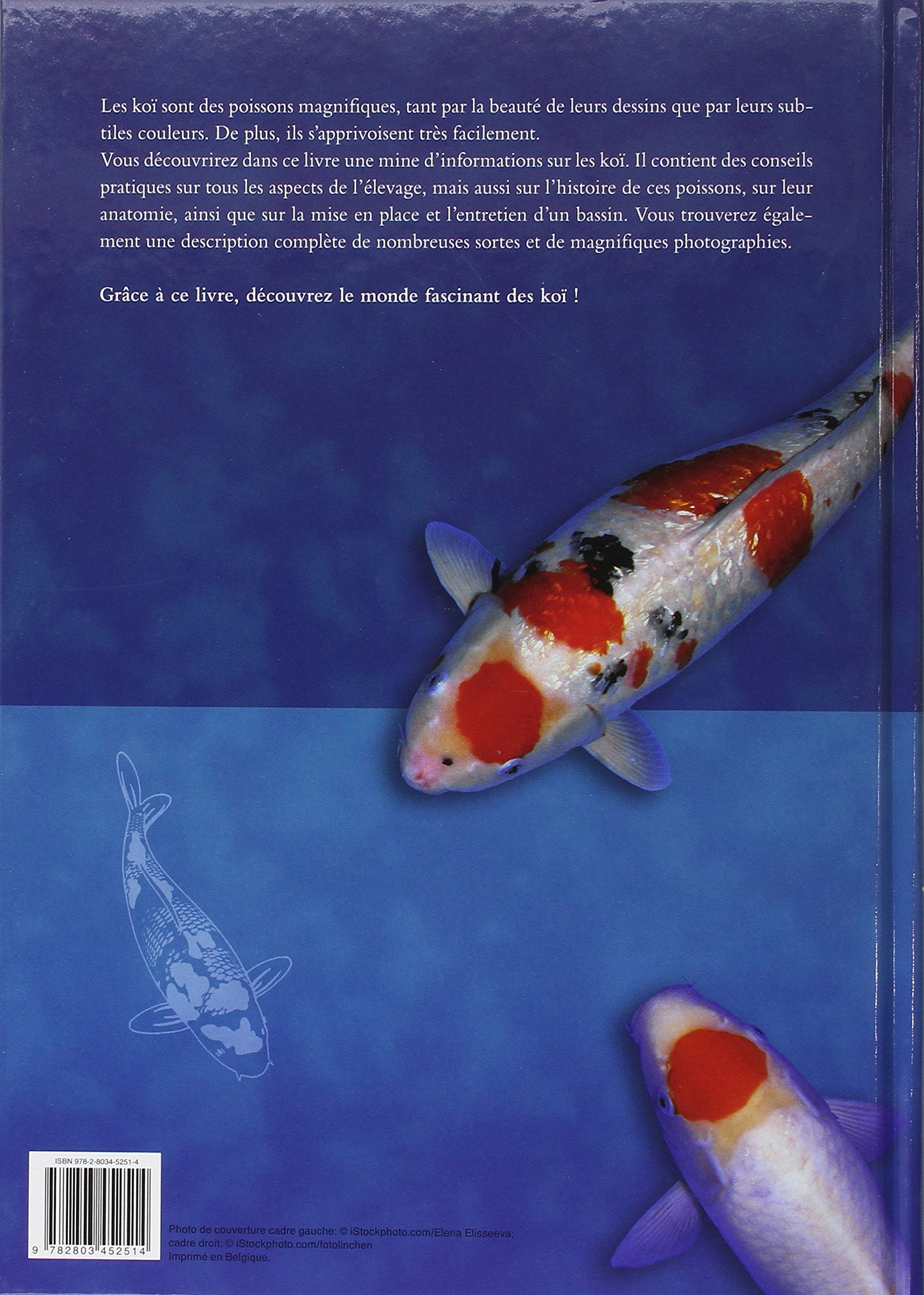 GRAND MANUEL KOI