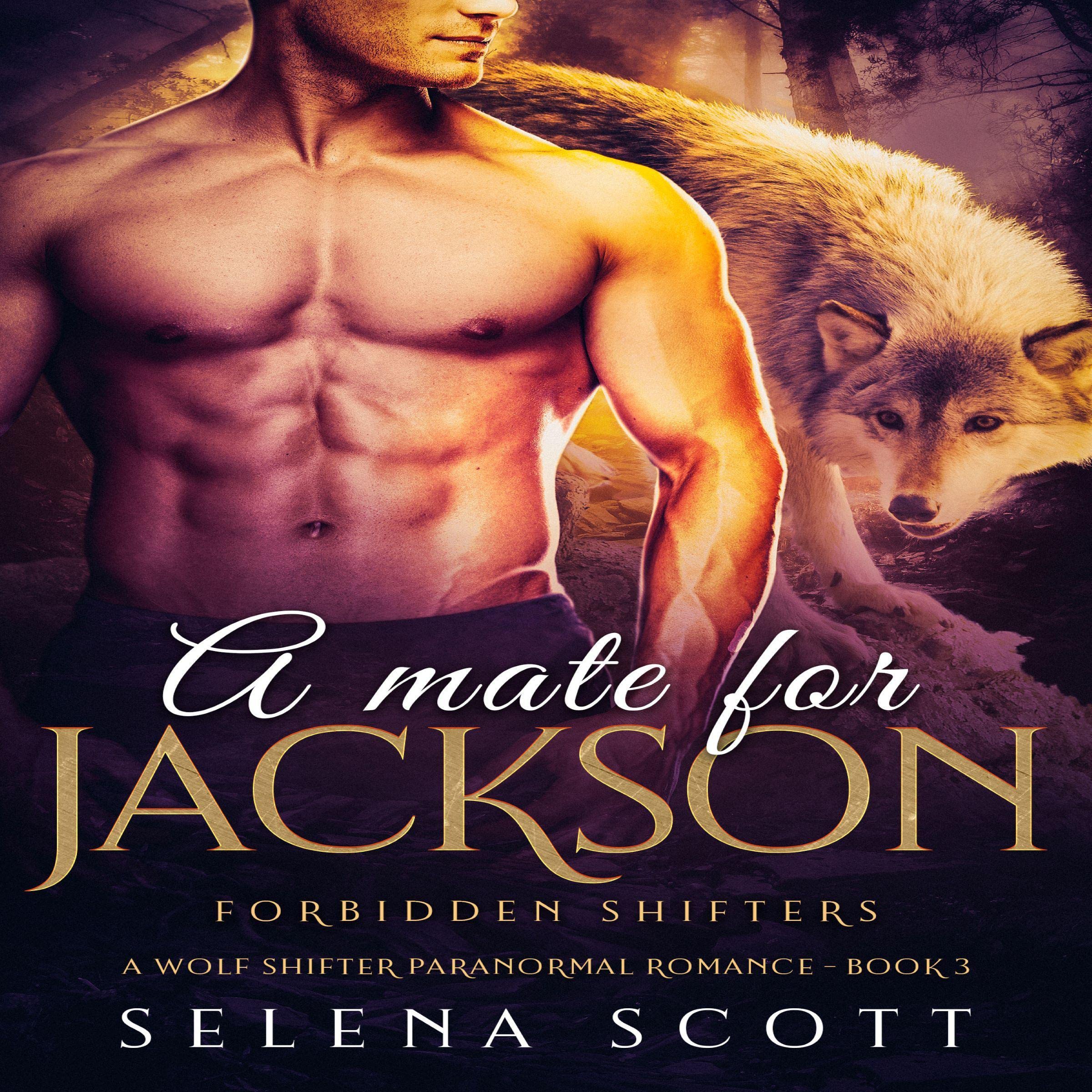 Cover art for A Mate for Jackson