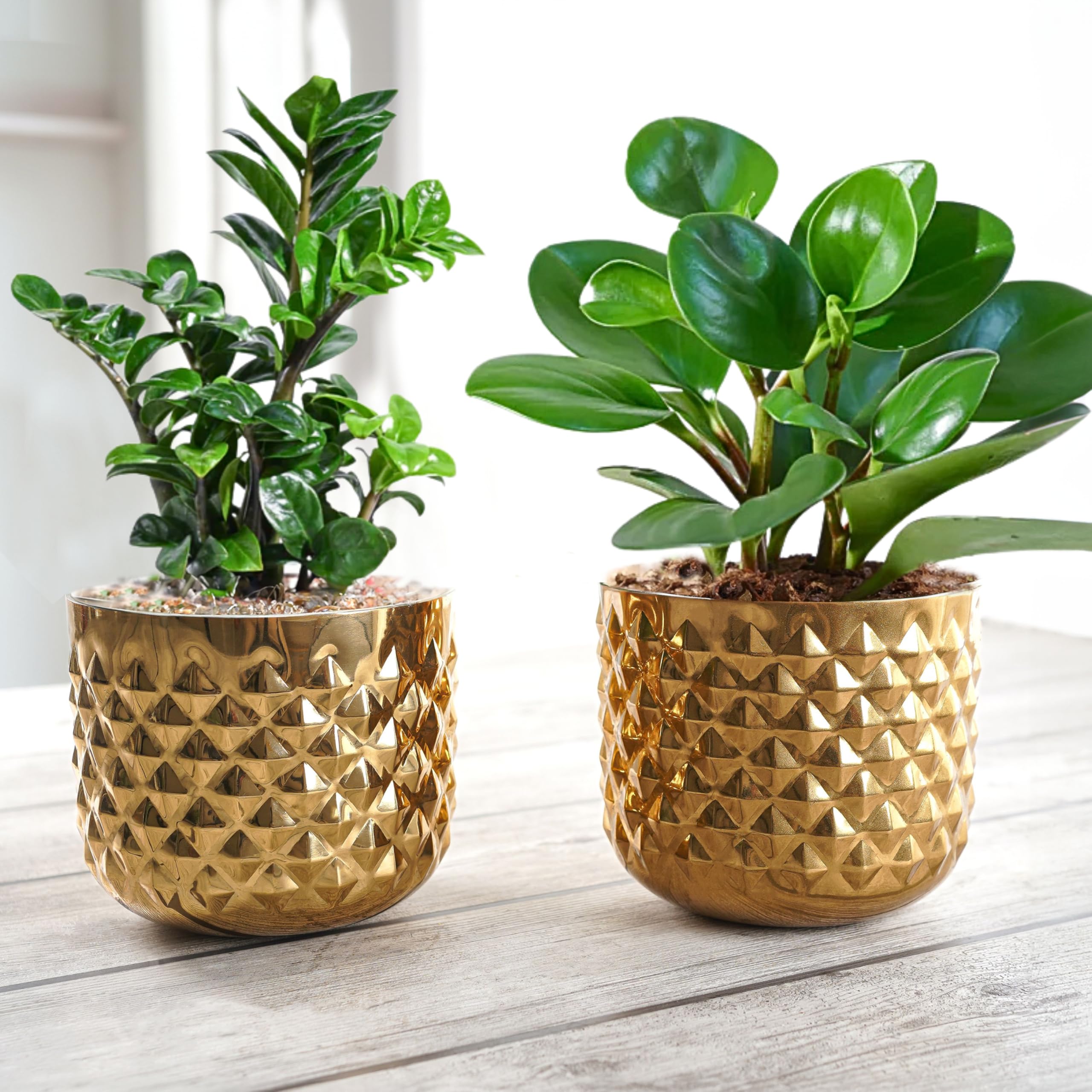 BEHOMA Metal Indoor Planter | Pineapple Texture Modern Plant Pot | Drawing Room Balcony Office Decor for Small Plants | 5.3 (Height) by 5.9 (Dia) | Golden Set of 2 | (Plant not Included)