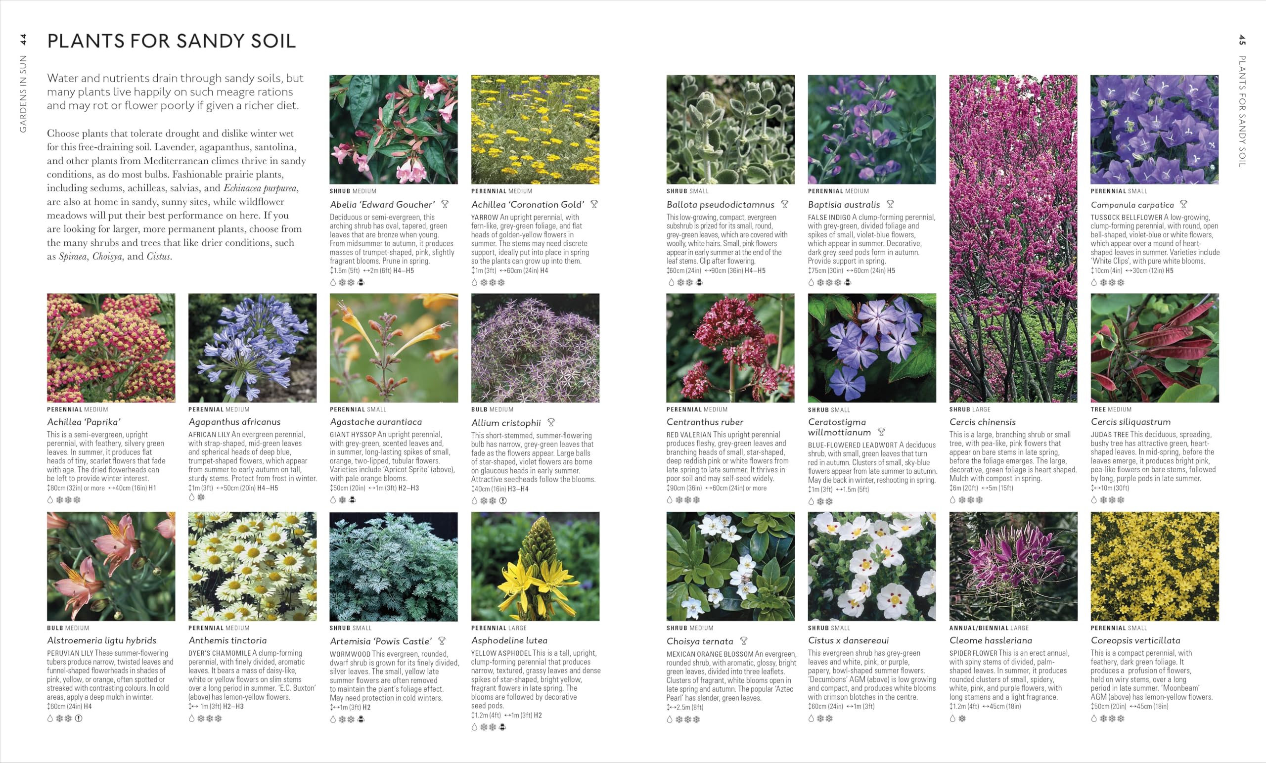 RHS What Plant Where Encyclopedia: An Expert Guide to More Than 3,000 Plants
