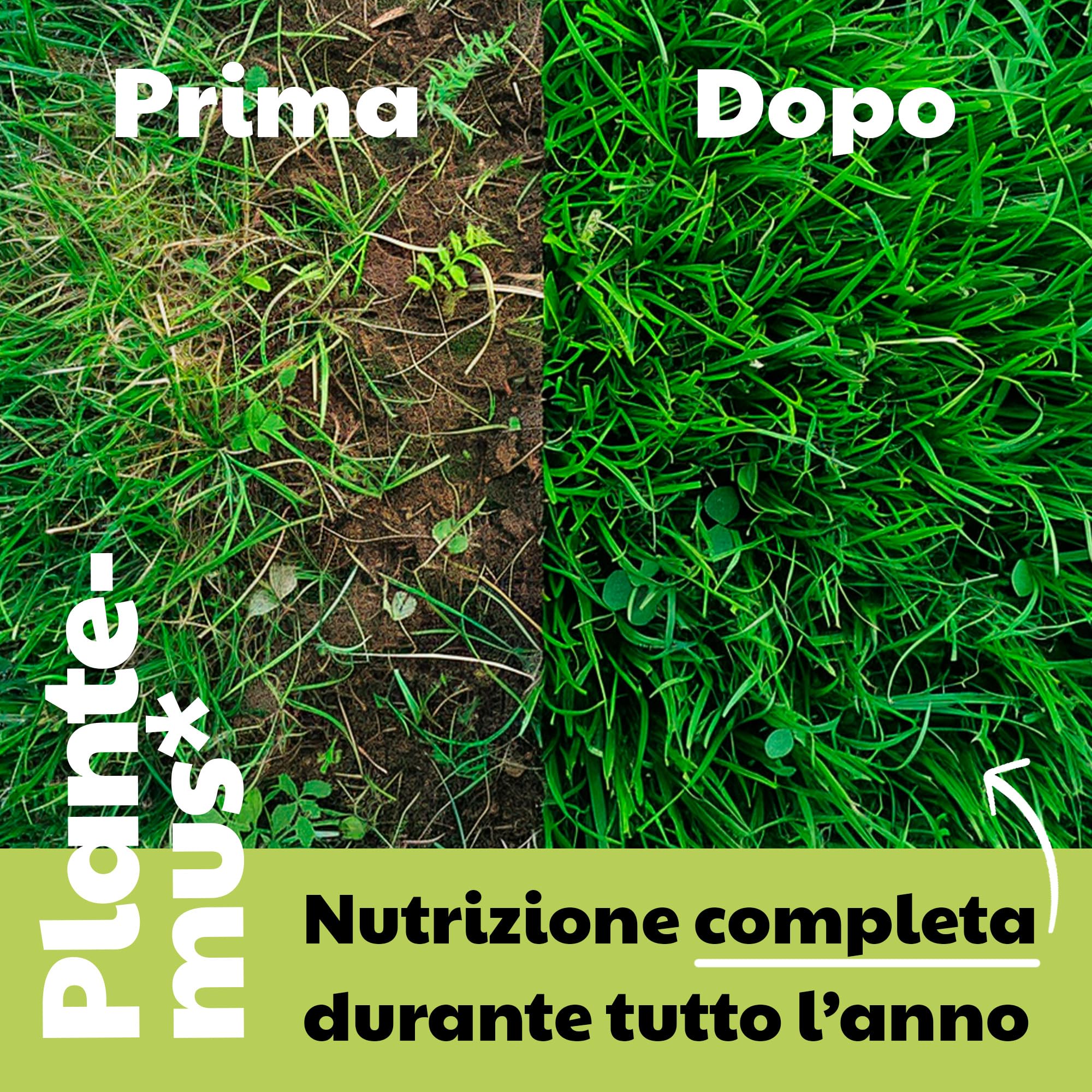 PLANTEMUS Concime per Prato Premium a Effetto Prolungato per 350 m² | Concime NPK (12-11-18) granulare in Perle Ultrasolubili | Nutrizione Completa per un Prato Forte, Verde e Denso 10 kg