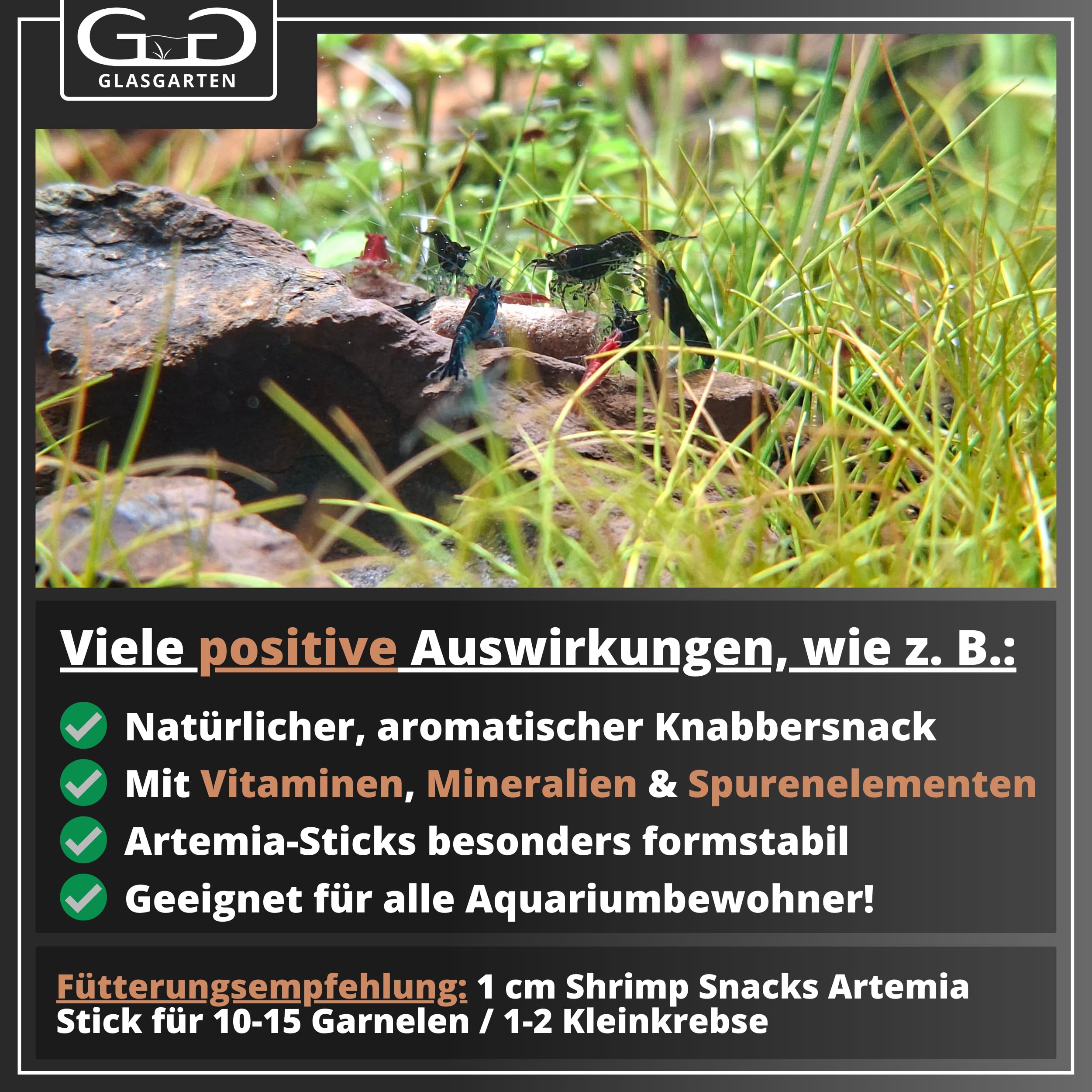 GlasGarten Przekąski na krewetki, artemie 30 g