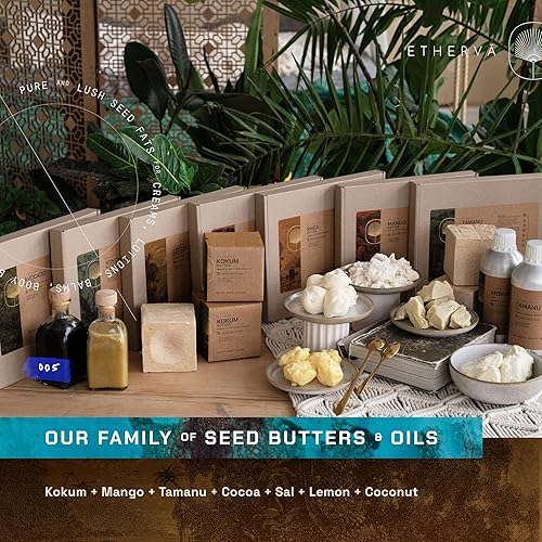 Miniatura 8 de Mantequilla Kokum cruda  Sin refinar, sin desodorizar, sin blanquear  Semillas orgánicas cultivadas en la naturaleza  Fabricación de jabón a granel